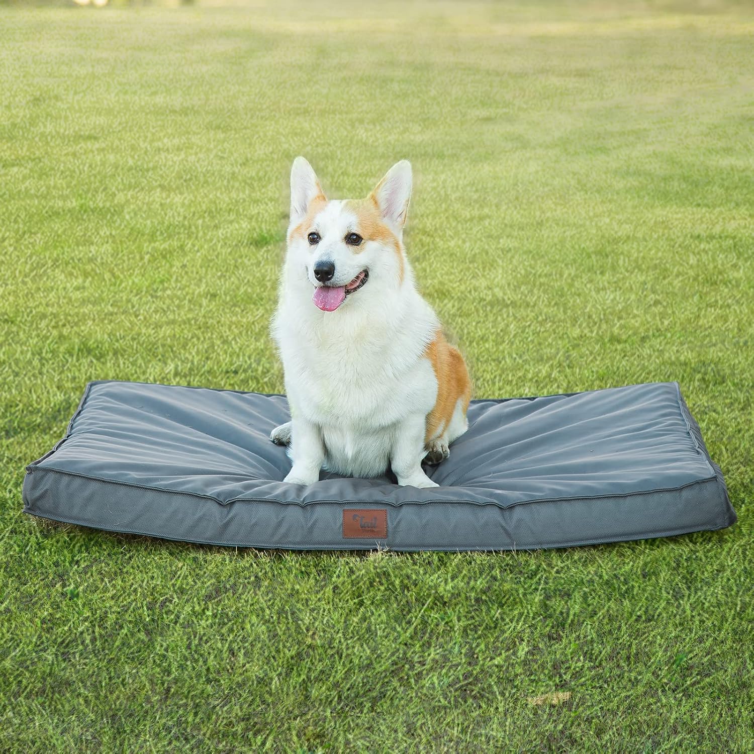 Tail Stories Cama para perros para todo tipo de clima, cama impermeable para perros grandes, cama ortopédica de espuma de huevo para mascotas con