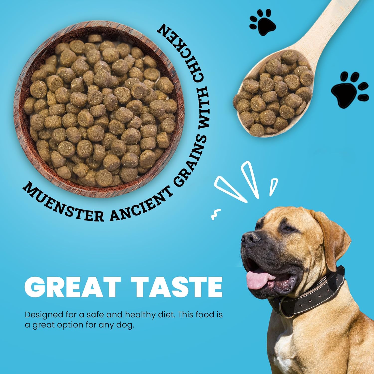 Muenster Ancient Grains – Alimento seco para perros grandes con sabor a pollo (22 libras), sin gluten, sin OMG, con alto contenido de proteínas,