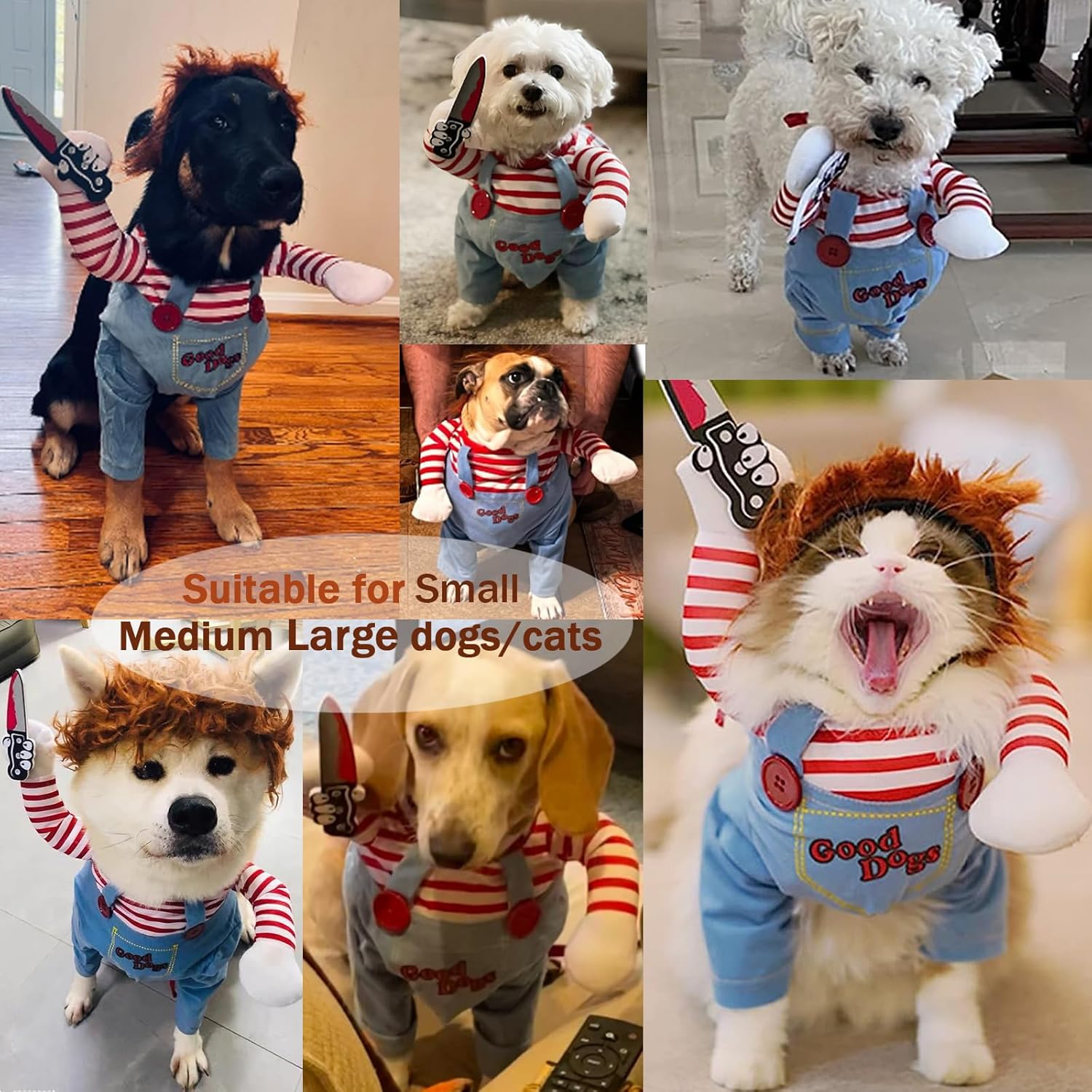 Disfraz de muñeca mortal para perro, divertido disfraz de Halloween para perro, ropa linda para perros pequeños, medianos y grandes, ropa de vestir