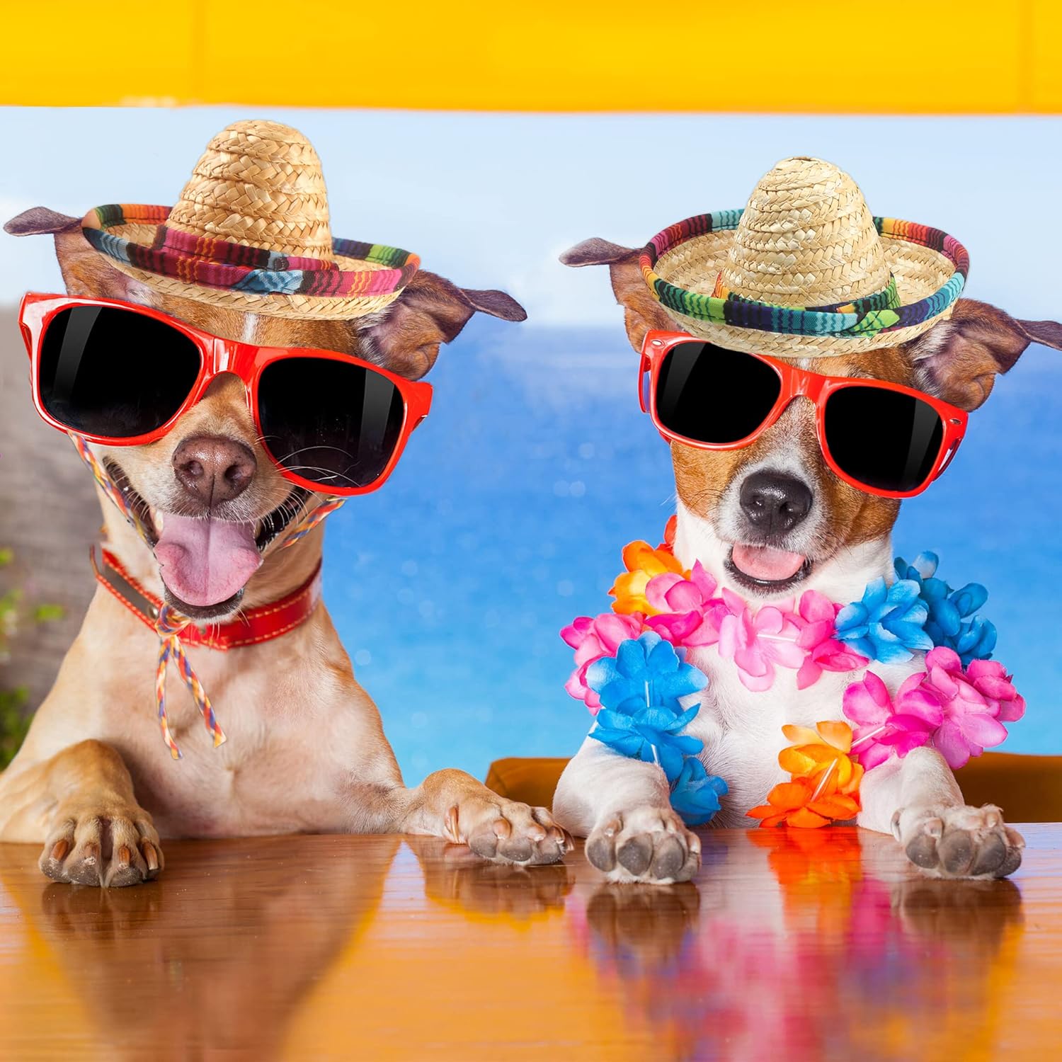 Cagemoga 12 diademas mexicanas para niños, adultos, perros, mascotas
