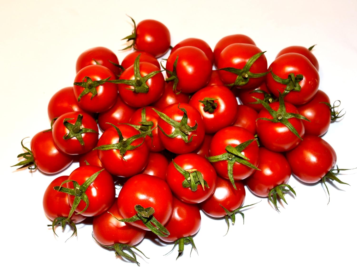 Tomate Cherry Maskotka Cascading Trasero Enano Arbusto Tomate 50+ Semillas para plantar sin OMG