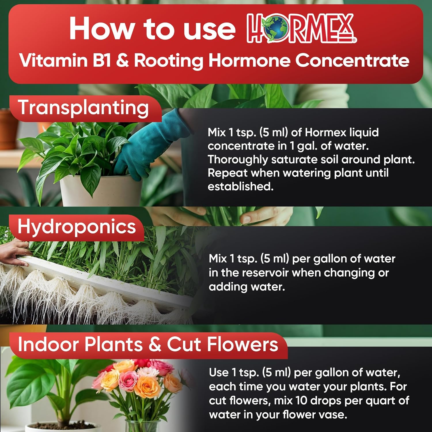Hormex Concentrado de hormona líquida de enraizamiento con B1 – Estimulador de crecimiento de raíces para plantas fuertes y saludables – Previene el