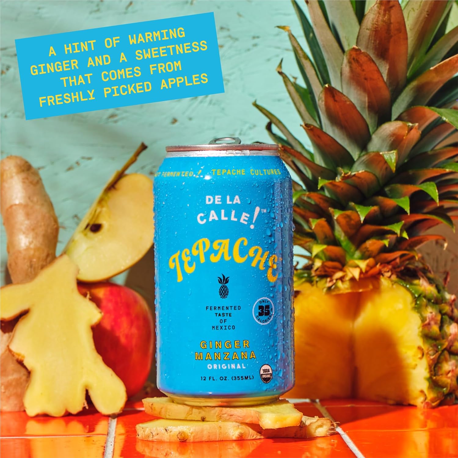 De La Calle Tepache – Ginger Manzana – Soda mexicana moderna – Bebida espumosa de piña fermentada artesanal – Orgánica certificada, rica en