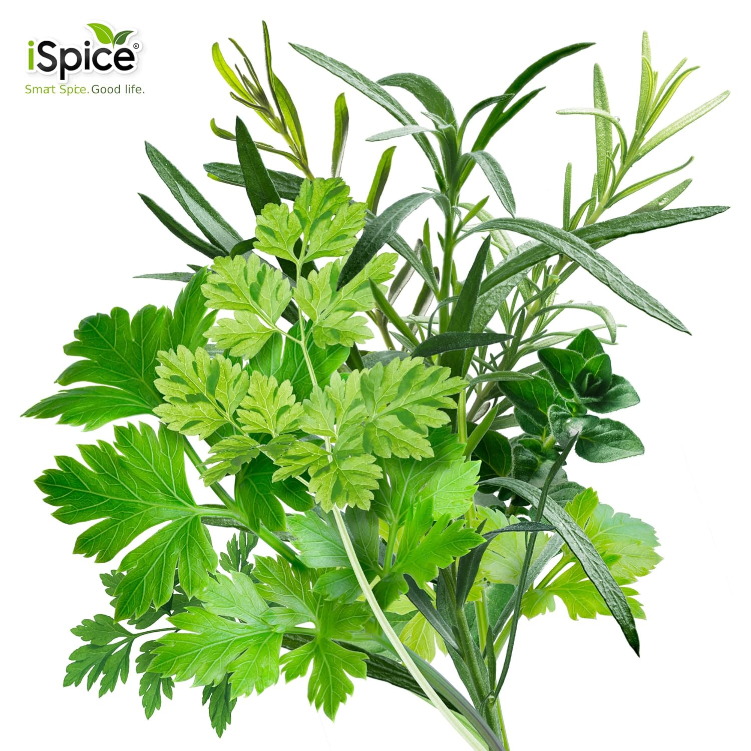 iSpice – Mezcla de súper especias de sabor mundial HERBES DE PROVENCE SEASONING  Todo natural  Listo para usar como está  No se necesita preparación
