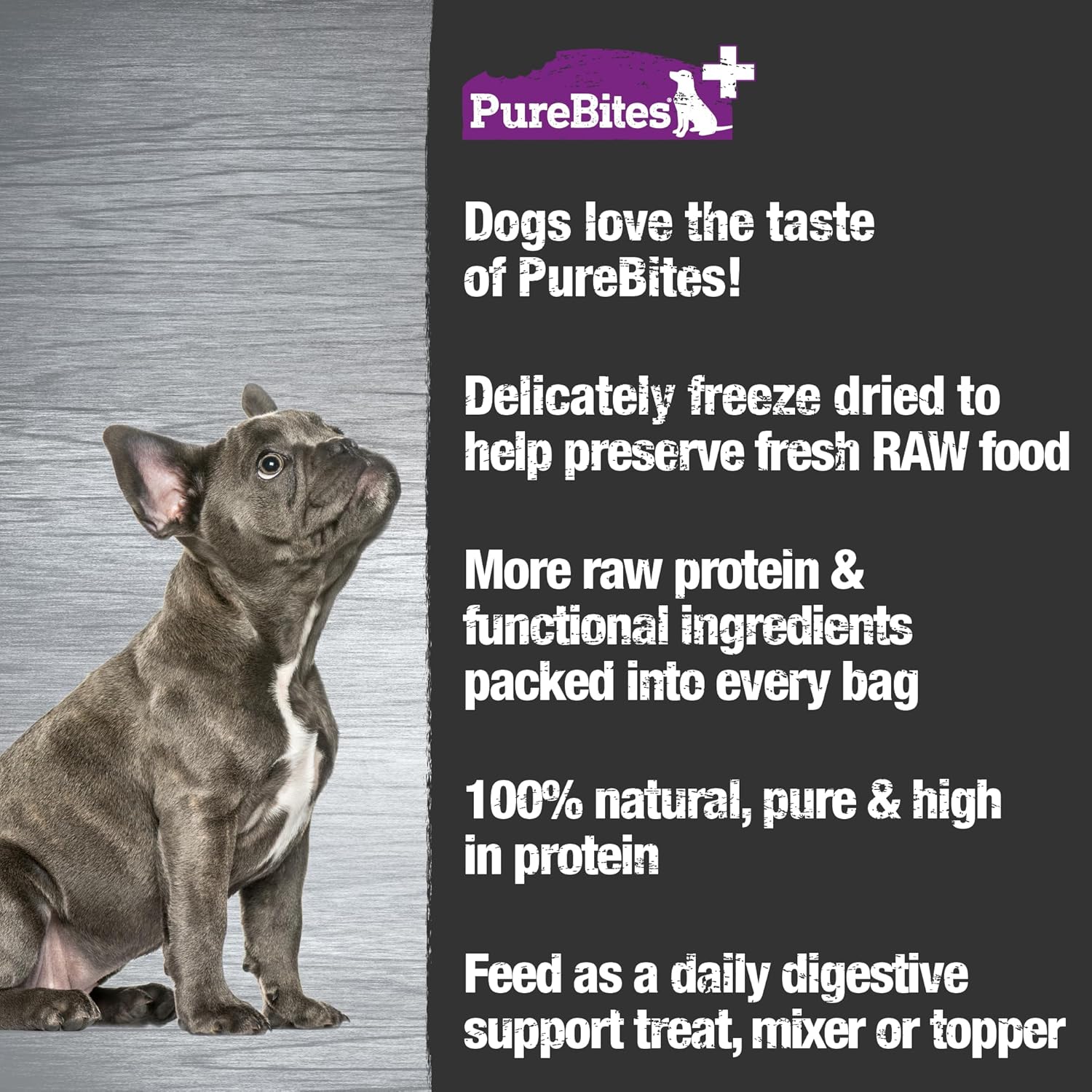 PureBites + Golosina liofilizada para perros de 3.0 onzas  Intestino y digestión  5 ingredientes  Hecho en Estados Unidos