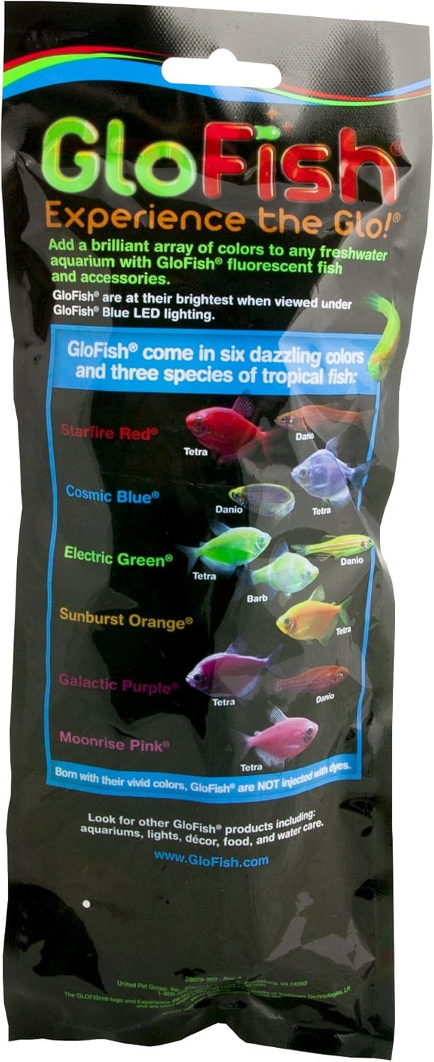 GloFish Planta fluorescente, azul pequeño, decoración de acuario, fluorescencia bajo LED azules