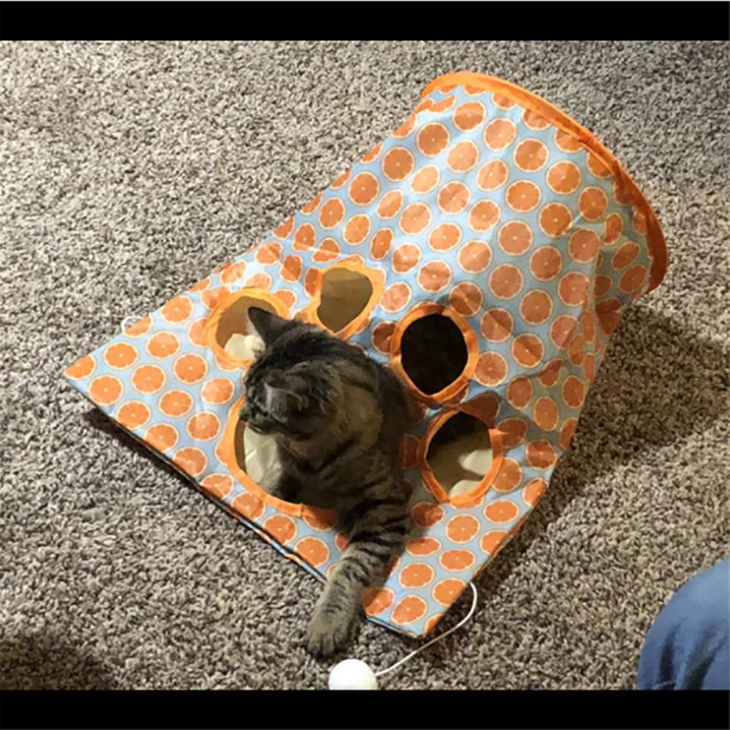 Bolsa de túnel para gatos, tubo para gatos, túneles para gatos de interior, juguetes para mascotas para gatos aburridos en túnel, bolsa de taladro