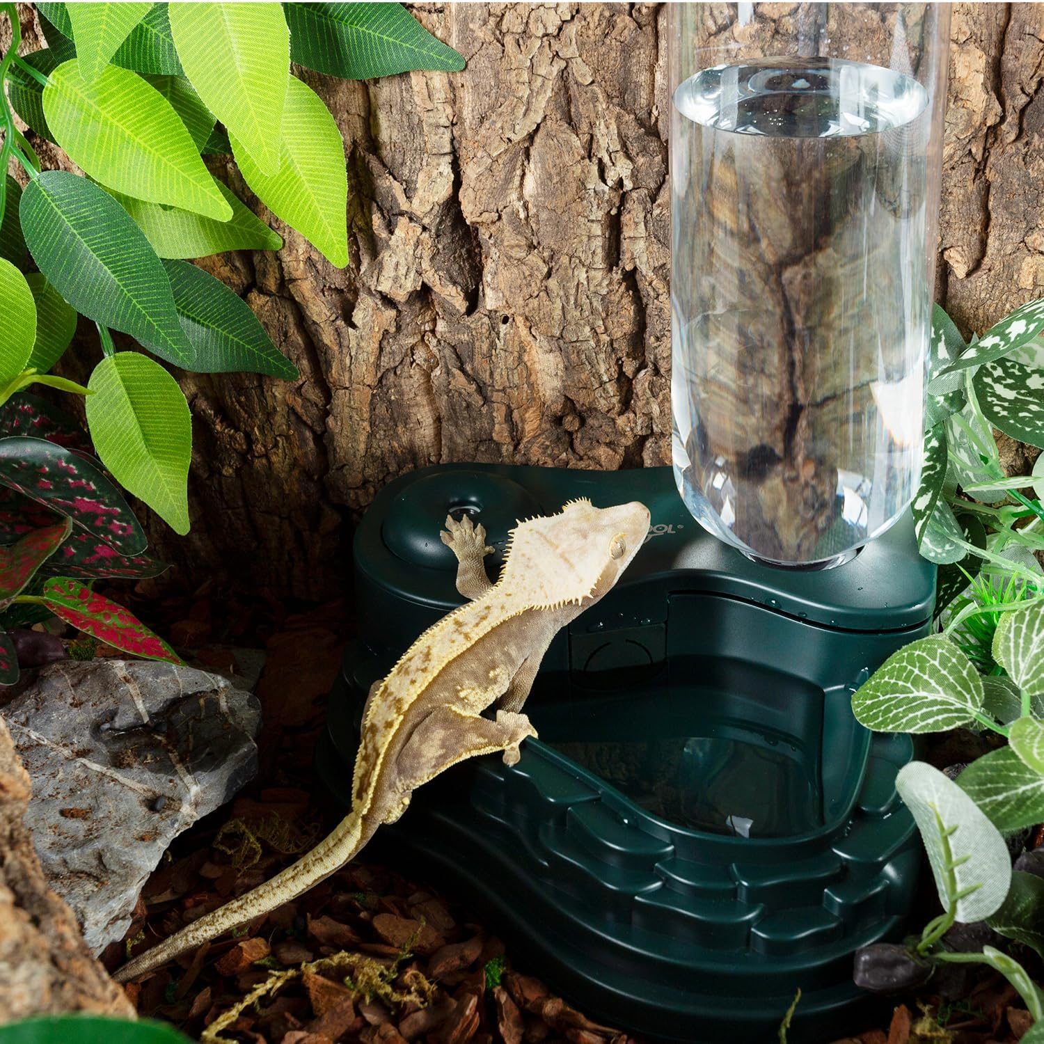 Nebulizador de reptiles y cuenco de agua para reptiles 2 en 1, mini humidificador de reptiles y plato de agua de reptiles para reptiles, anfibios,