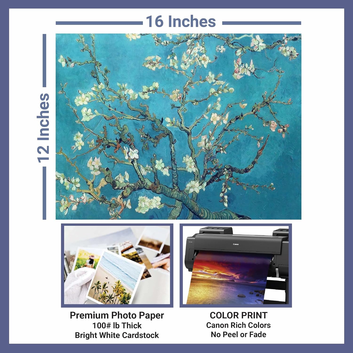 Ramas de cabaña perdida con flor de almendra por Vincent Van Gogh  Impresión sin marco  Reproducción de pinturas de obras de arte finas  Regalo de