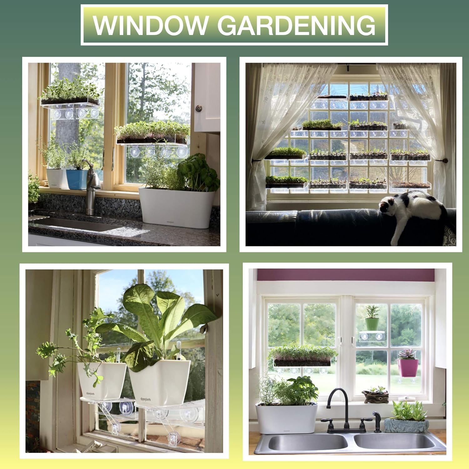 Window Garden – Maceta autorregable Aquaphoric de 7 pulg. + Tierra de fibra  Jardín interior infalible Maceta decorativa para plantas de hogar,