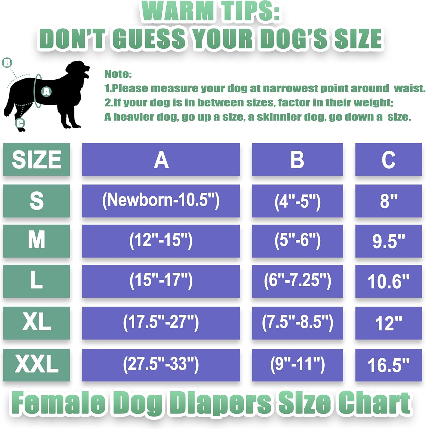 Wegreeco – Pañales lavables para perros hembra (3 unidades)