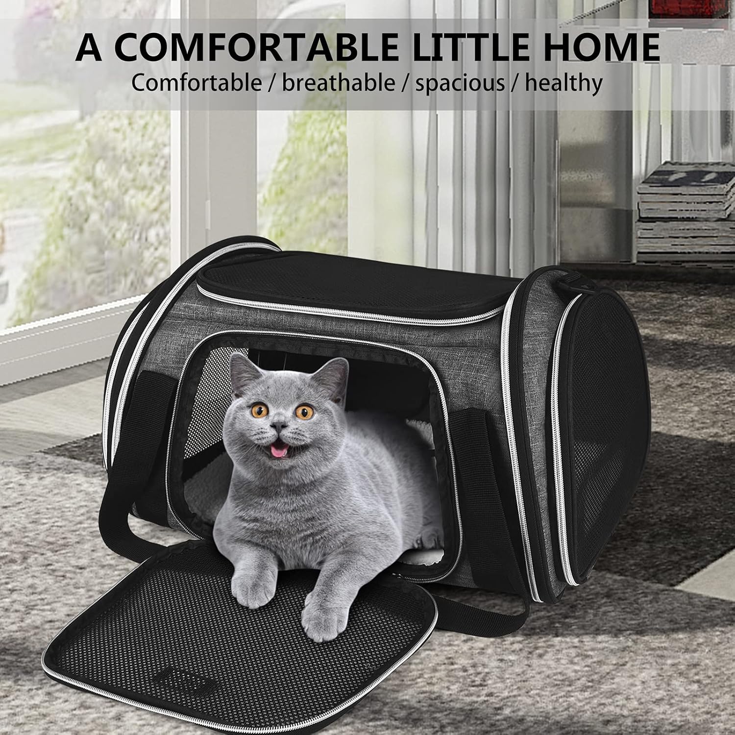 BAGLHER Transportador de viaje para mascotas, transportador de gatos aprobado por aerolíneas, transportador de perros, adecuado para gatos pequeños