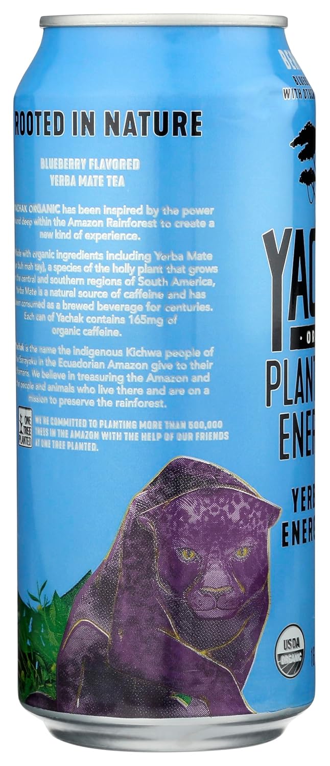 Yachak Organic Bebida energética de yerba mate azul de bayas orgánicas, 16 FZ