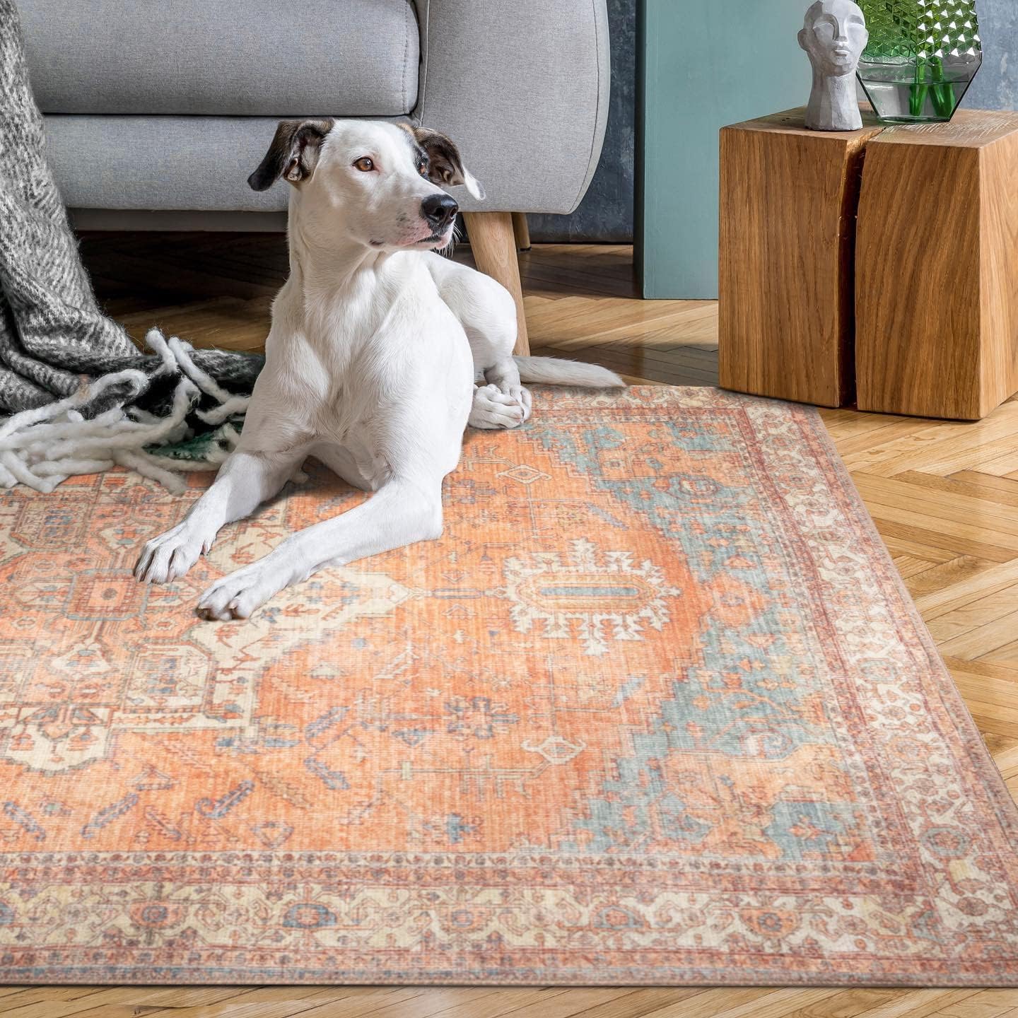GLN Rugs Alfombra lavable a máquina, estilo vintage, persa, bohemio, estética, envejecida, parte trasera antideslizante, decoración del hogar para