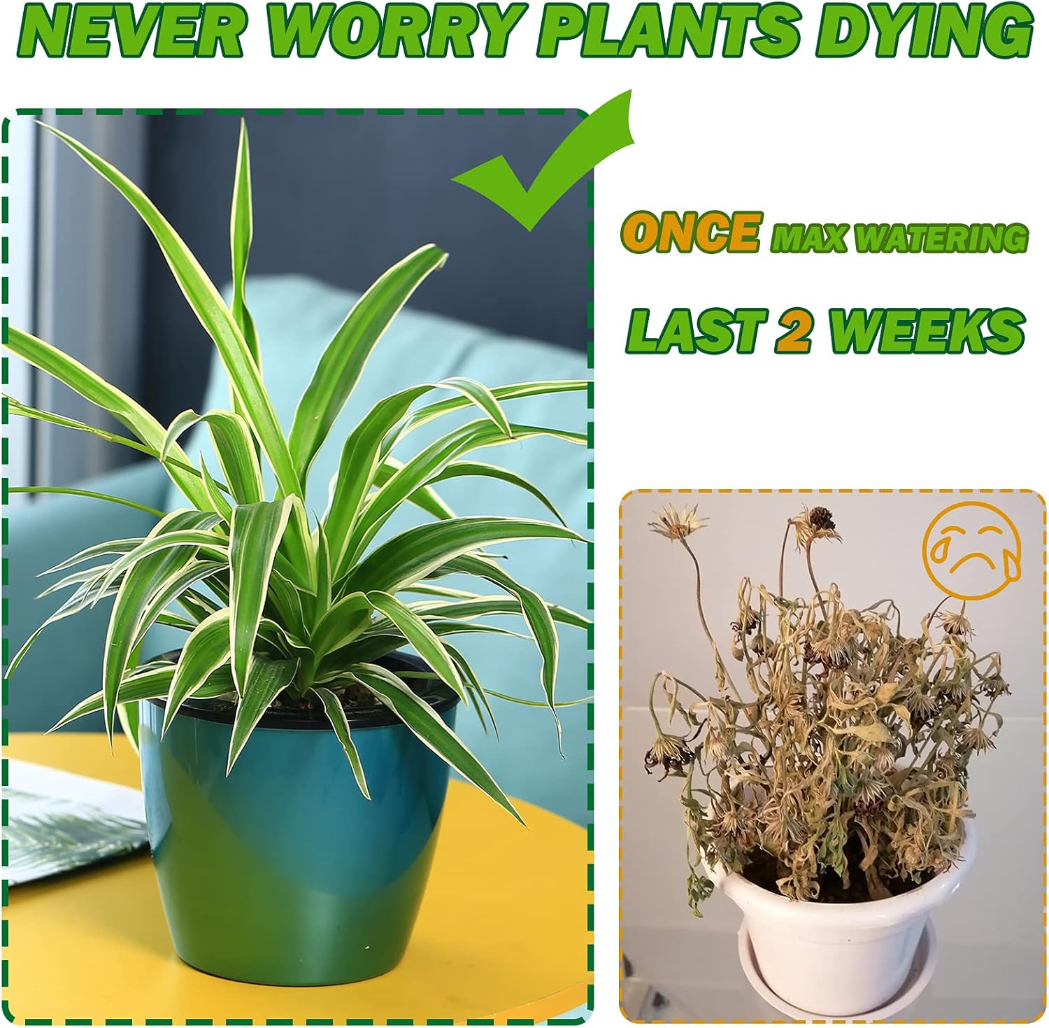 Planterhoma Paquete de 5 macetas de riego automático prémium para plantas de interior, oro rosa, 6.7 pulgadas