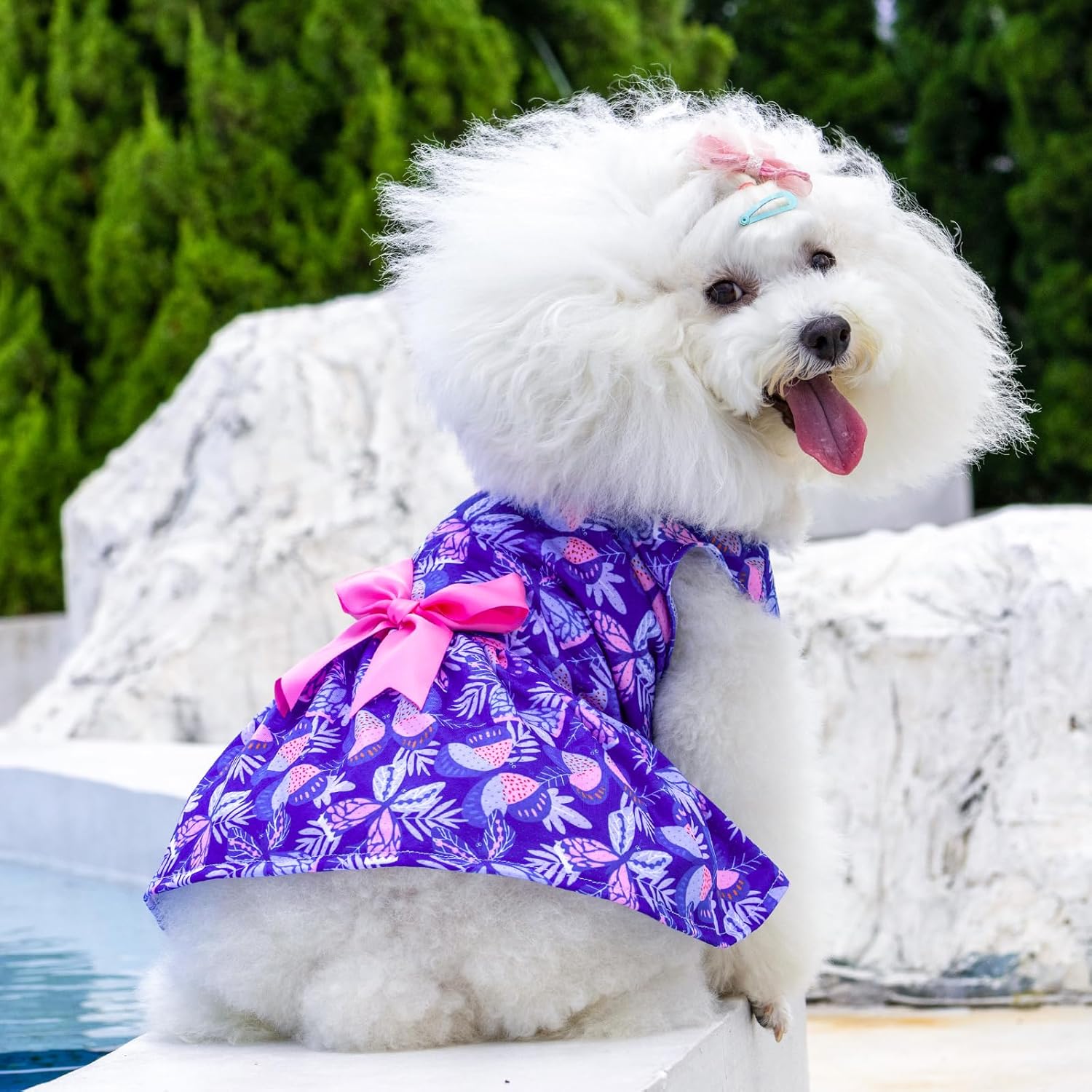 CuteBone Vestido de perro mariposa para niña, falda de cachorro, traje de gato, ropa para mascotas para perros pequeños, disfraz de cumpleaños, BF25M