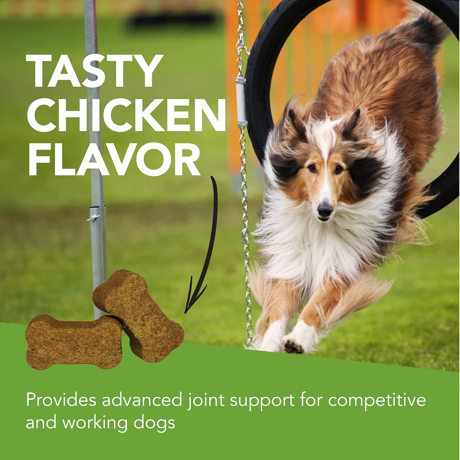 VetriScience GlycoFlex Sport – Suplemento deportivo para cadera y articulaciones para perros, masticables de apoyo articular con mejillón de labios