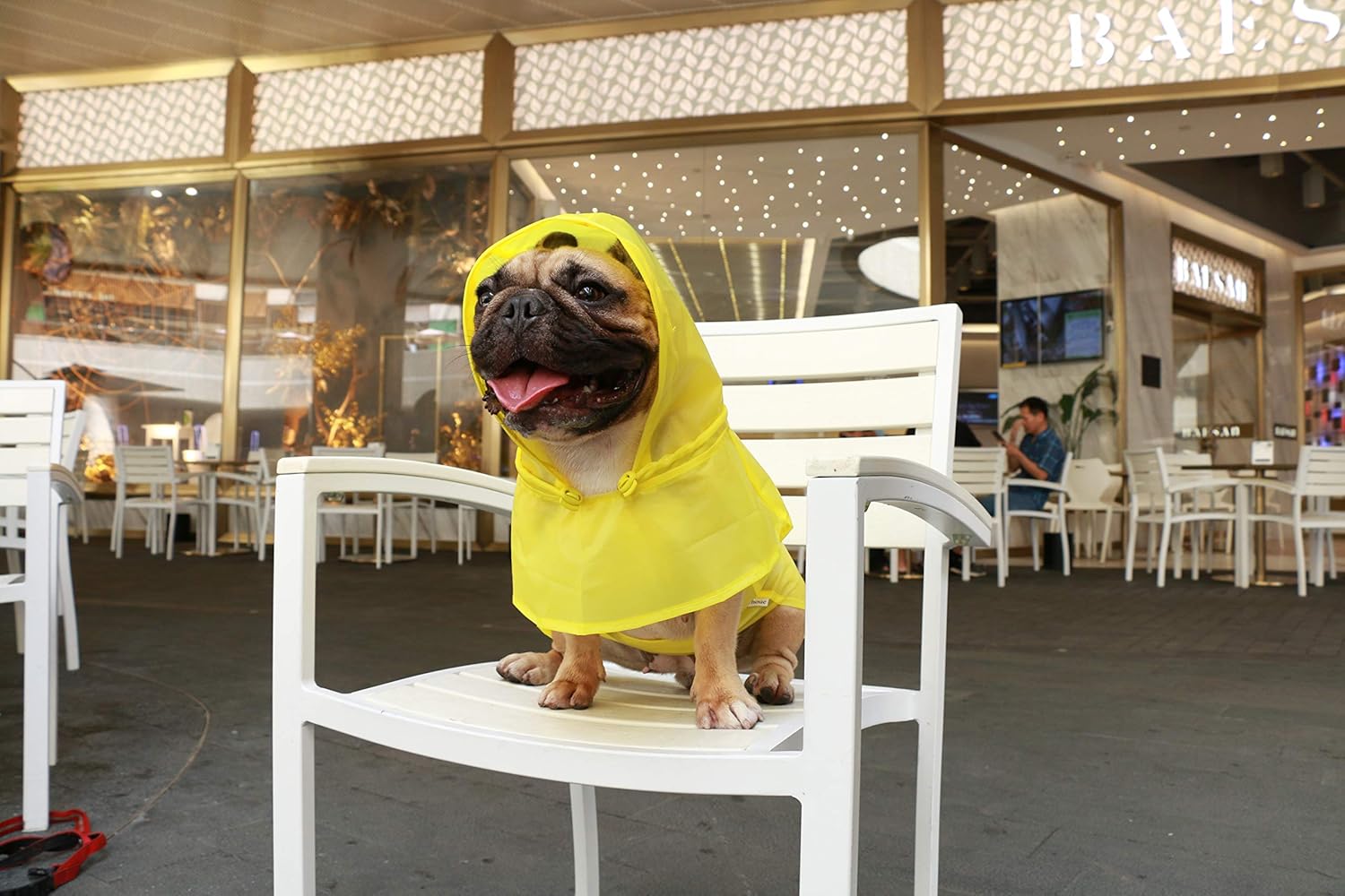 iChoue Chubasquero para perro, impermeable, ajustable, con correas reflectantes, ligera, para bulldog francés grande (amarillo, L)