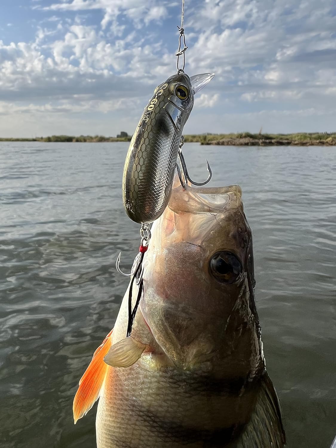 CC60 Crankbaits for Bass Fishing, Slow Sinking, Silent, BKK Hooks, Crankbait, Pike Walleye Musky Fishing Lures, Shallow Diving Crank Bait, Depth 0-3