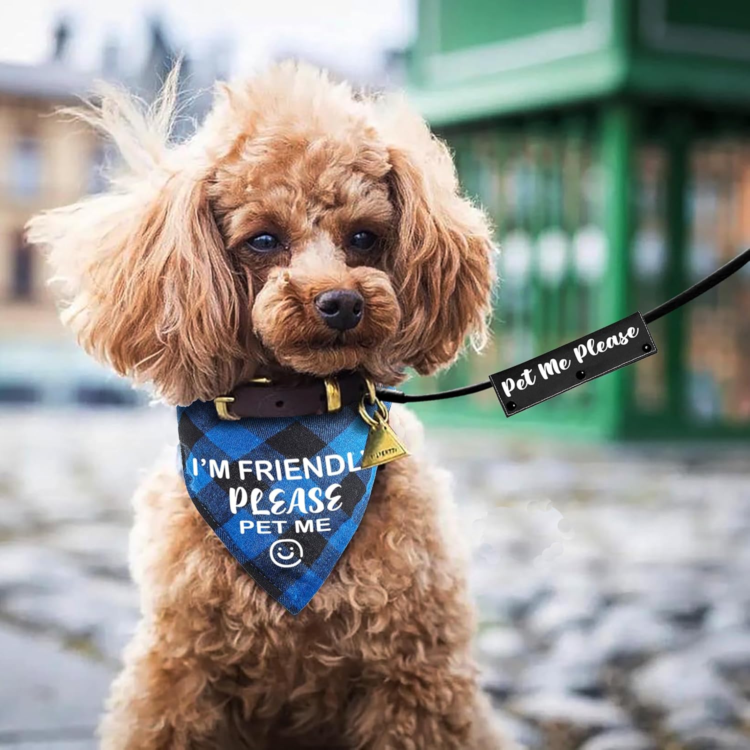 2 unidades de bandana a cuadros azul y negro con Pet Me Please Dog Black Strap Wrap para amantes de los perros, dueño, regalo de cumpleaños de