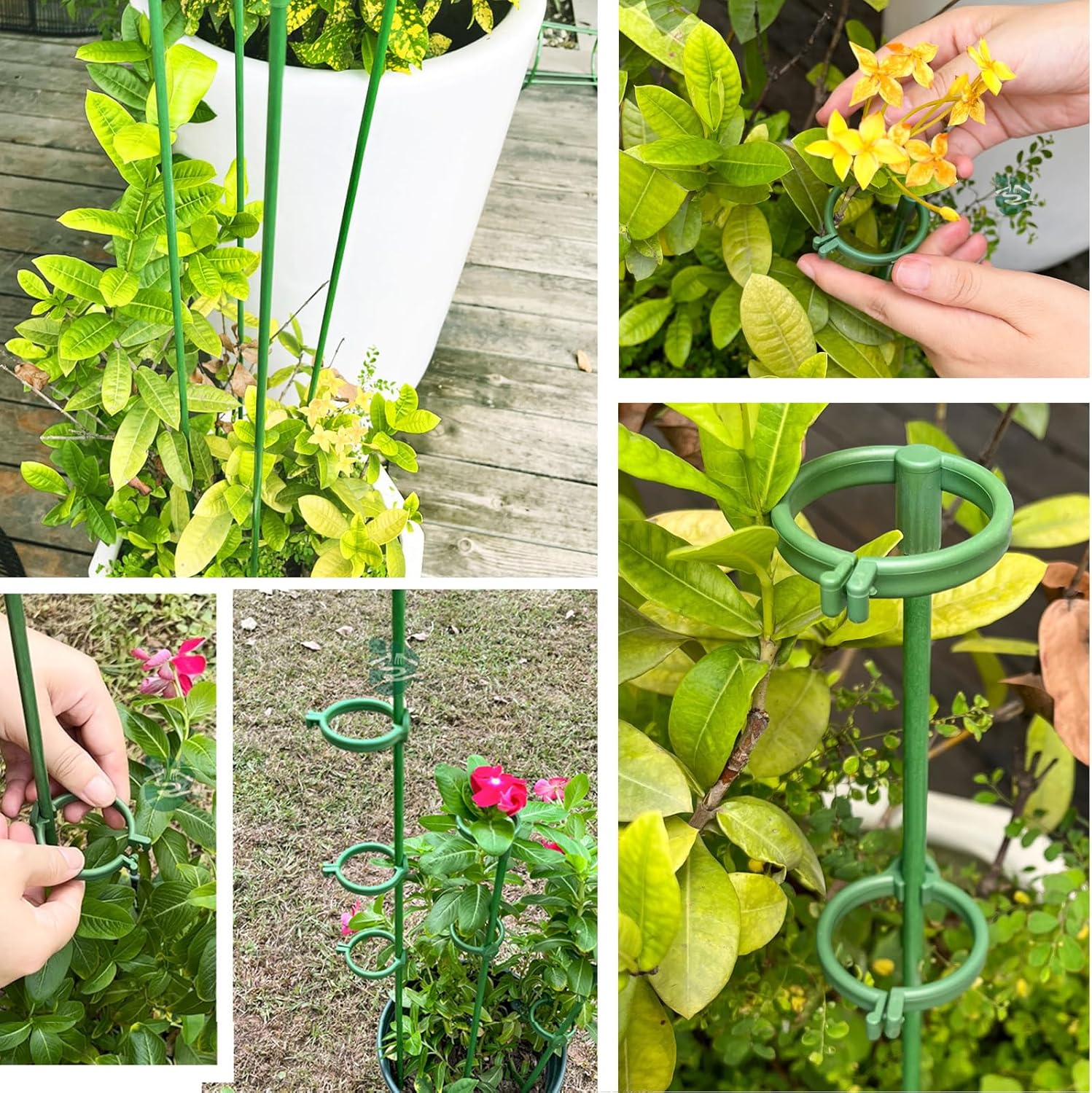 100 estacas de 15.7 pulgadas para plantas de fibra de vidrio verde ajustable para jardín con 100 anillos de hebilla para plantas de interior y