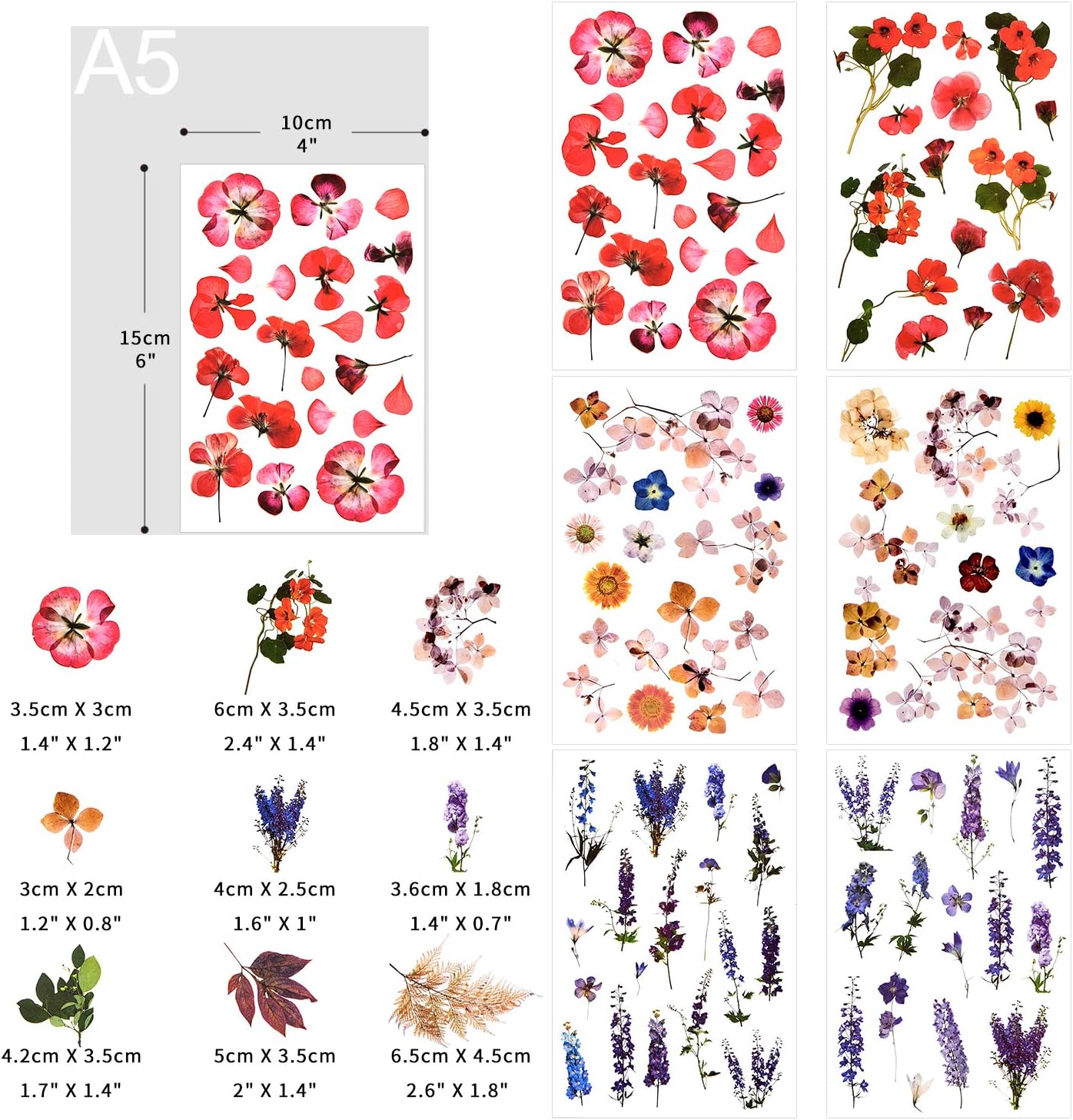 Pegatinas de transferencia para álbumes de recortes, calcomanías de flores, calcomanías de decoración, calcomanías de planificación, calcomanías de