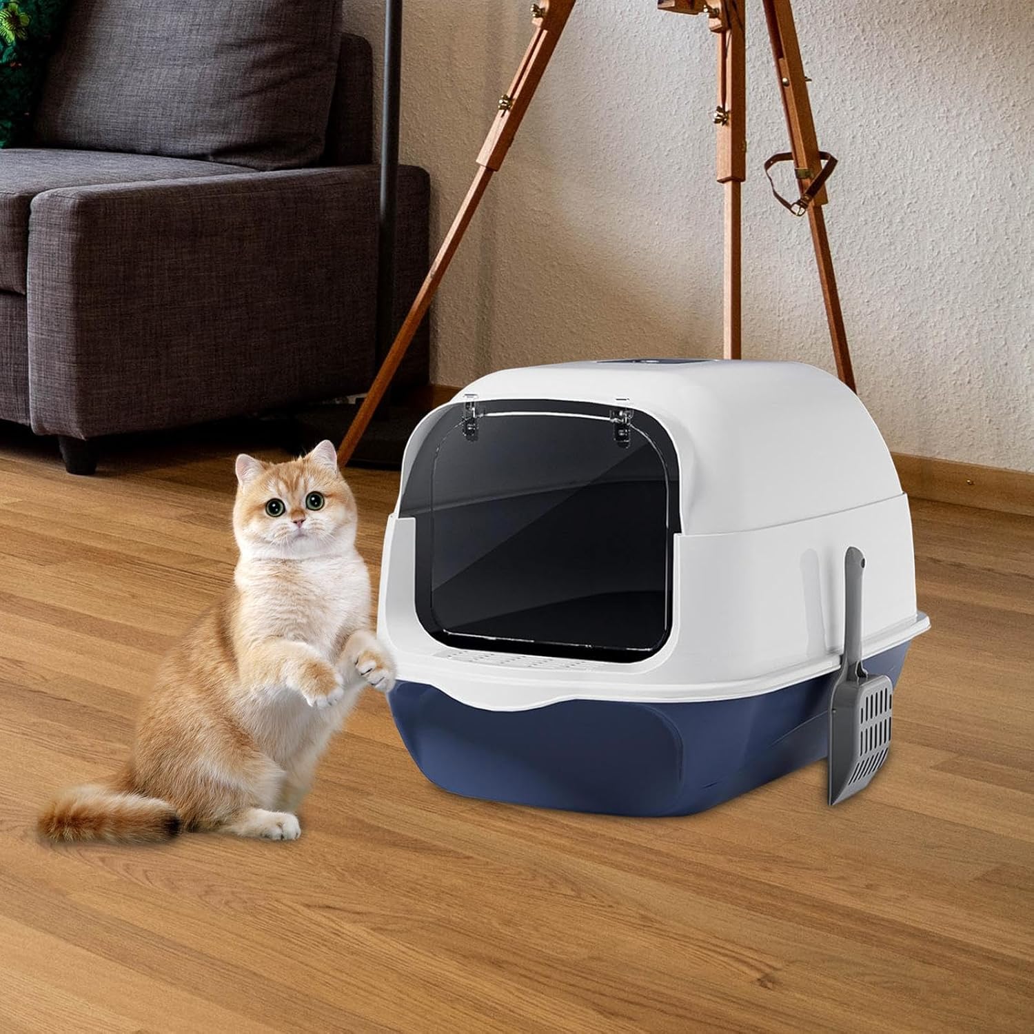 Caja de arena con capucha para gatos con tapa, orinal cerrado y cubierto, caja de arena para mascotas con tapa, color azul