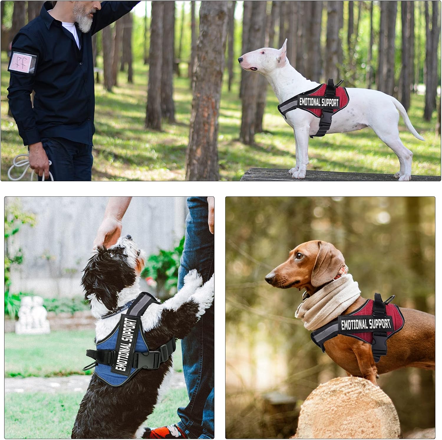 2 parches personalizados para chaleco para perro, parches tácticos extraíbles personalizados para arnés de perro, perro de servicio en entrenamiento