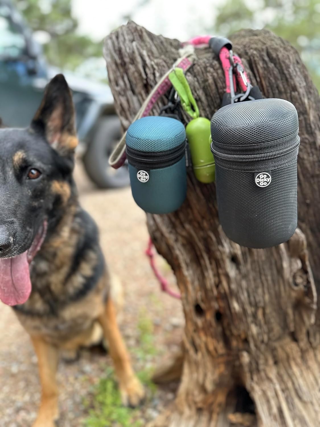 Soporte reutilizable para excrementos de perro con dispensador de bolsas de residuos, transportador de sacos con sello de olor para bolsas de