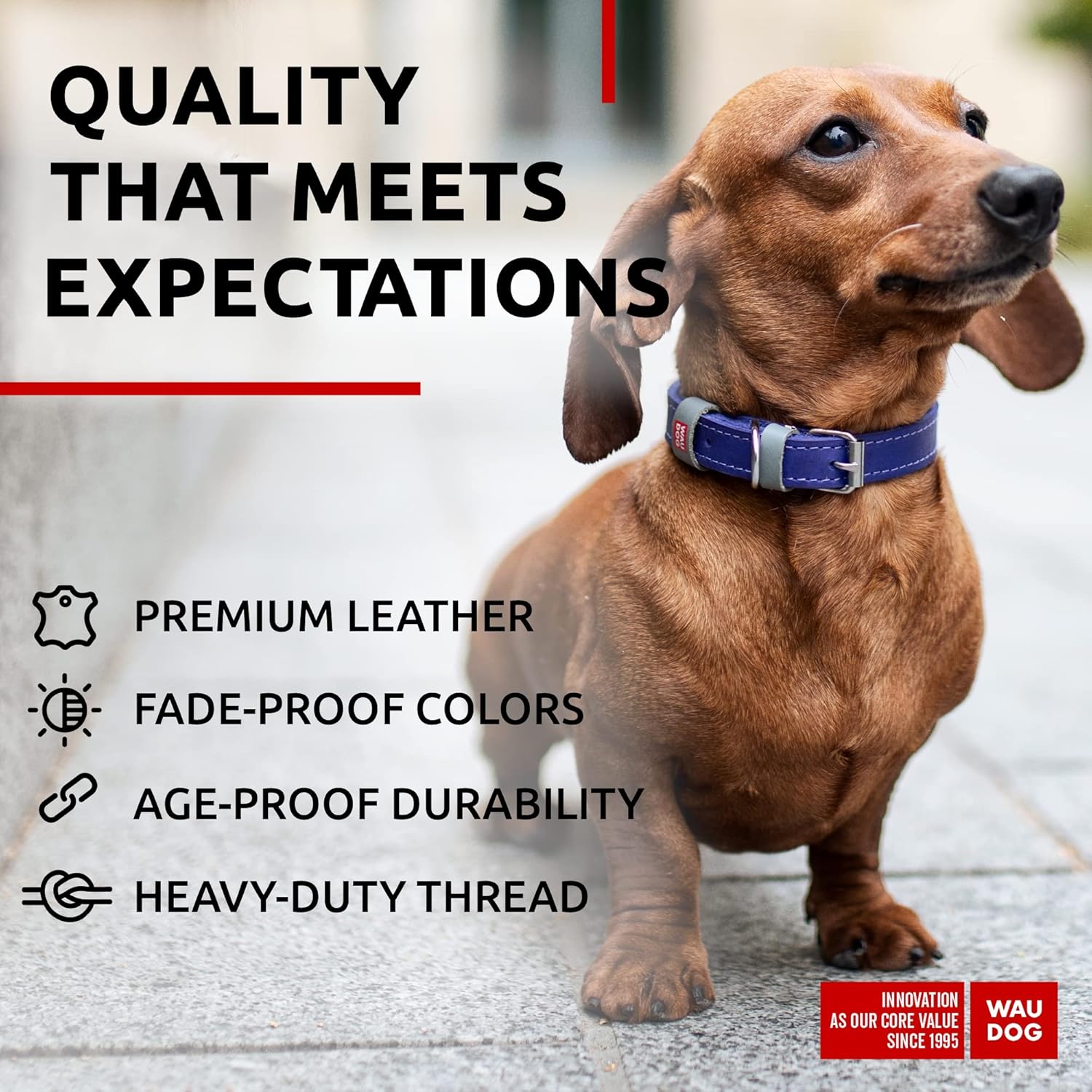 WAUDOG Collar de cuero de larga duración para perros grandes, medianos y pequeños  Collares clásicos ajustables para cachorros de raza grande