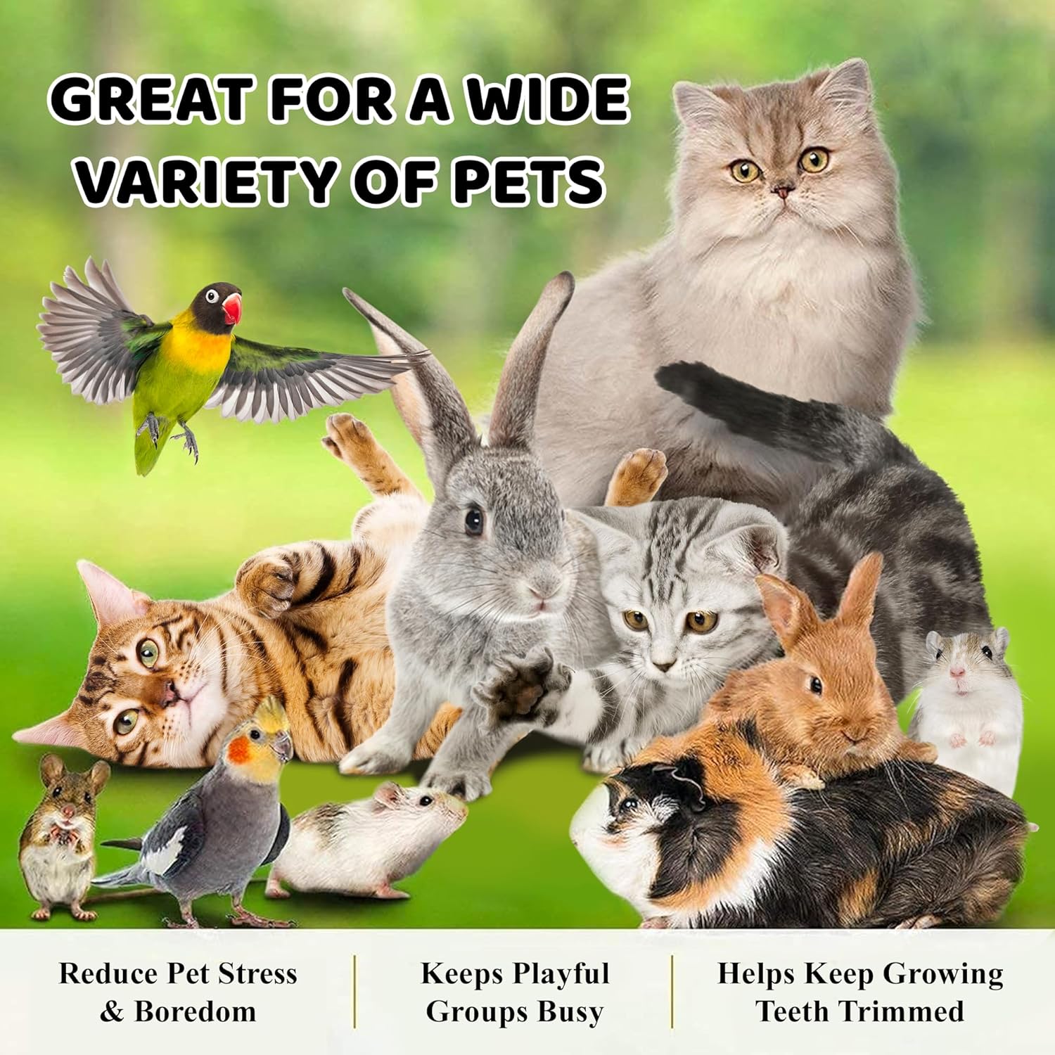 SunGrow Pelotas masticables surtidas de conejo y gato, juguete de actividad de dentición para mascotas de bolsillo, mejora la salud dental,