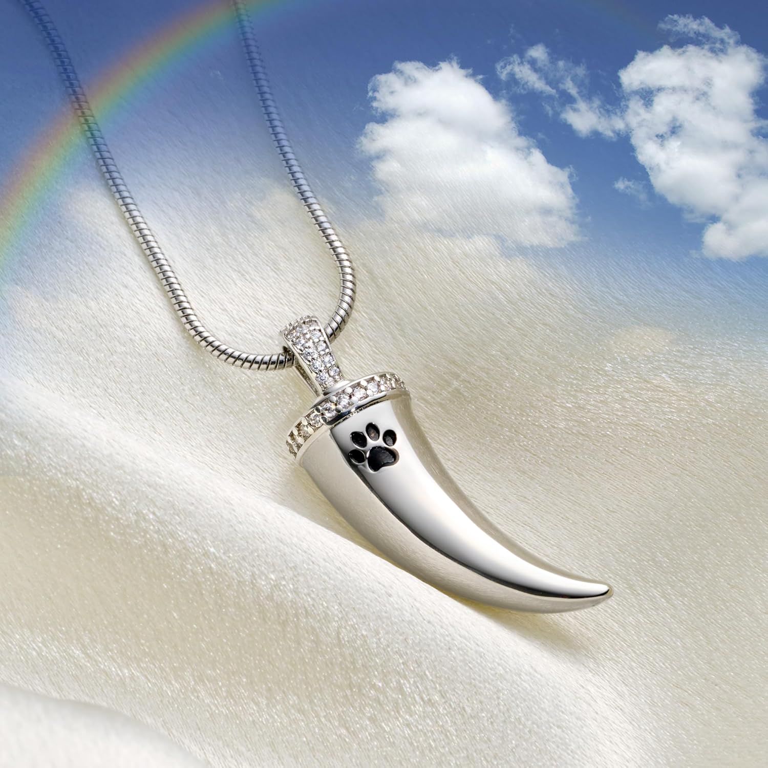Fanery sue Pet Ashes Necklace Cremation Jewelry Pet Memorial Gifts Heart Pendant for Loss of Dog Cat Pet Urn Necklaces Rainbow Bridge Keepsake