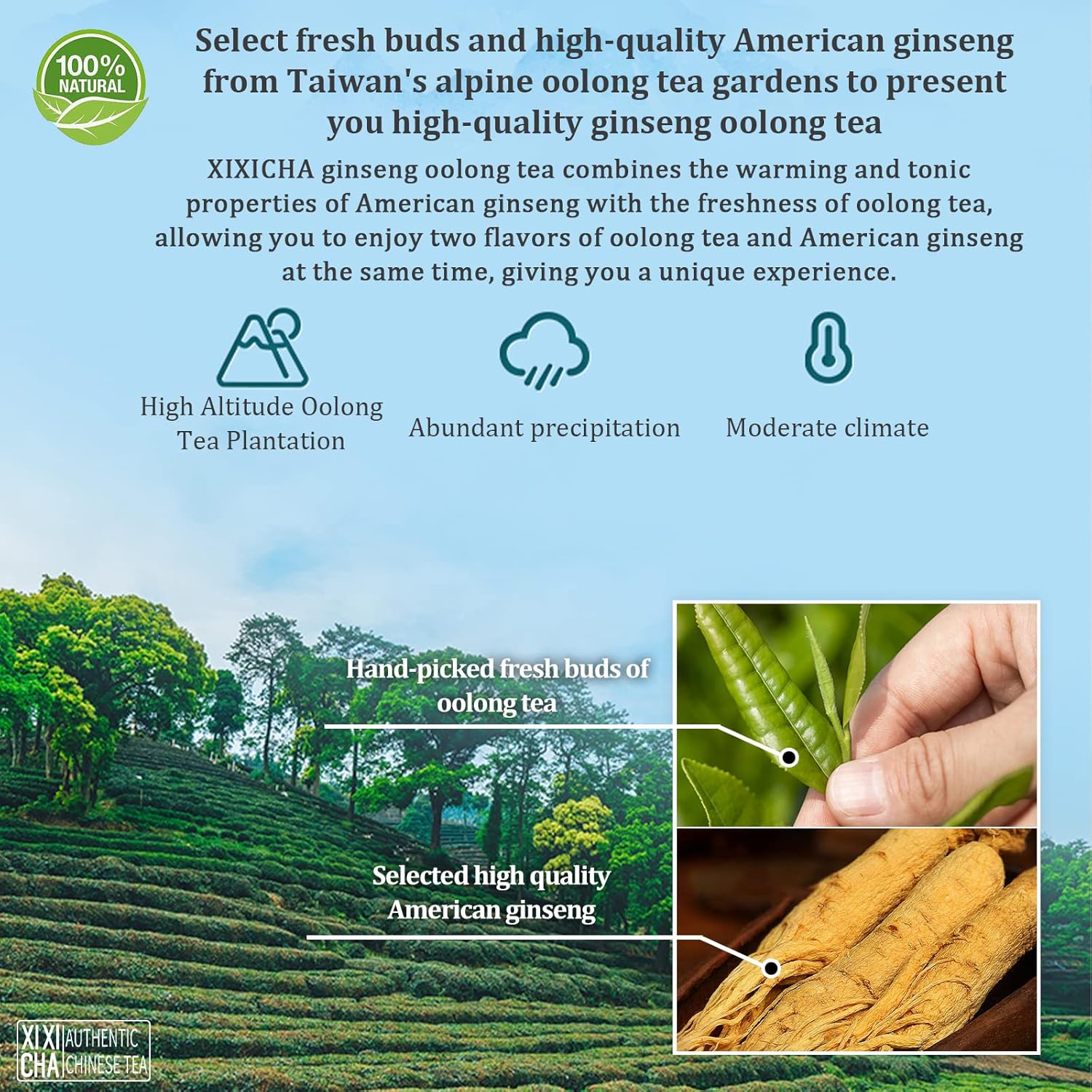 XIXICHA Oolong Tea Grade Ginseng Oolong Tea Oolong Tea Loose Leaf Ren Shen Wulong Tea Chinese Oolong Tea Taiwan Tea Chinese Oolong Tea 5.29oz (150g)