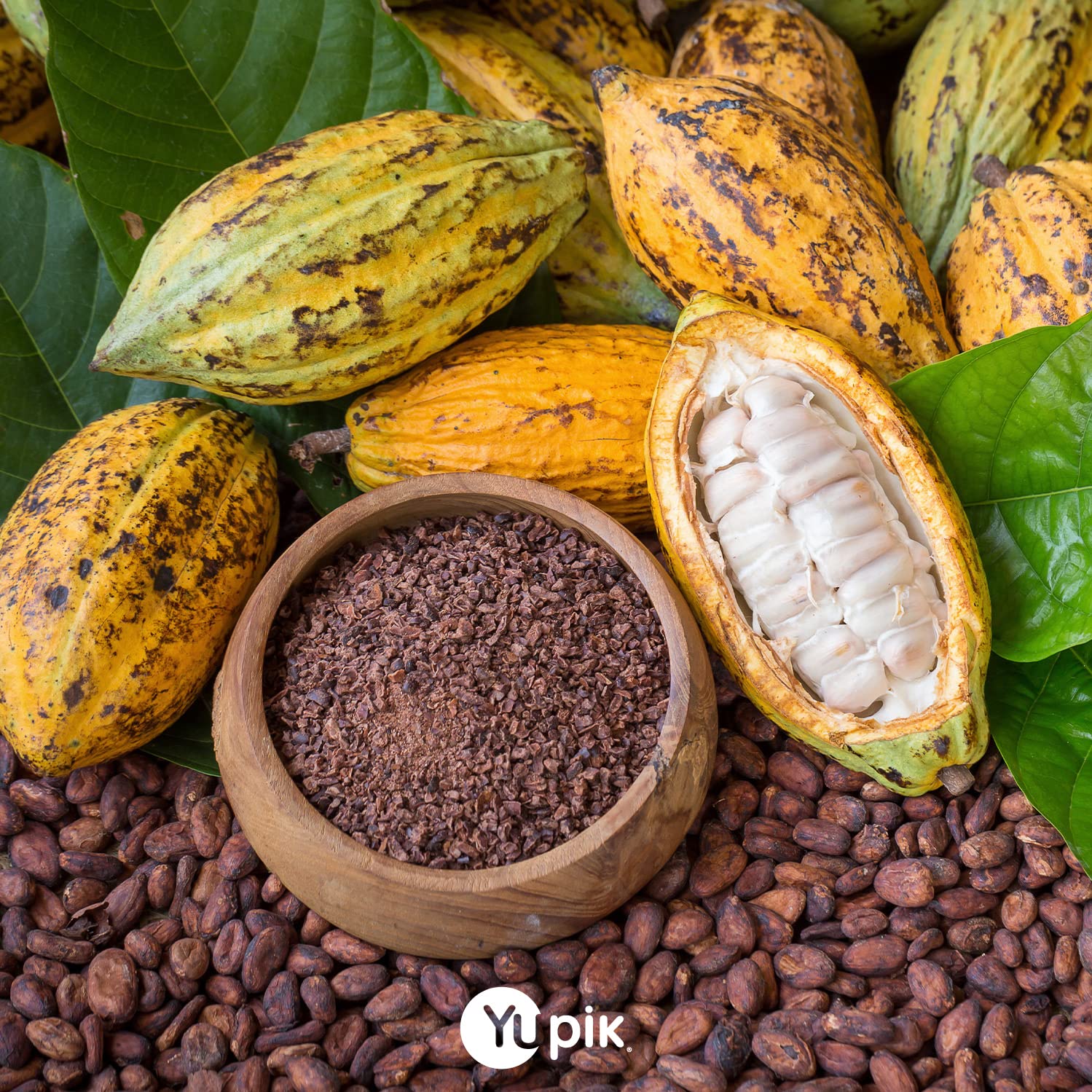 Yupik Polvo, cacao alcalinizado, 2.2 lb
