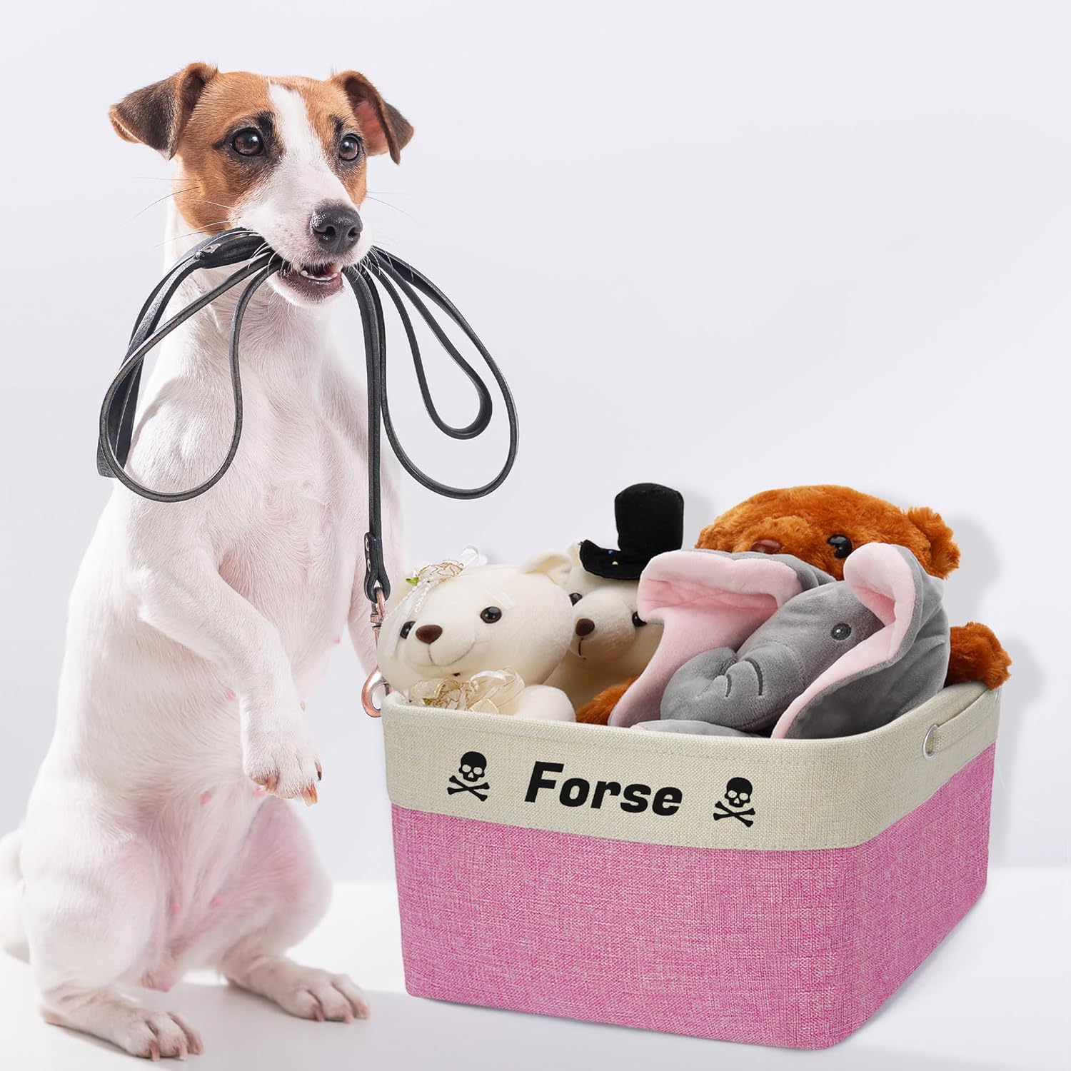 Zhamate Personalized Dog Toy Basket with Pet’s Name, Custom Dog Toy Bin, Sturdy Foldable Collapsible Storage Box, Dog Toy Box with Handles for Dog