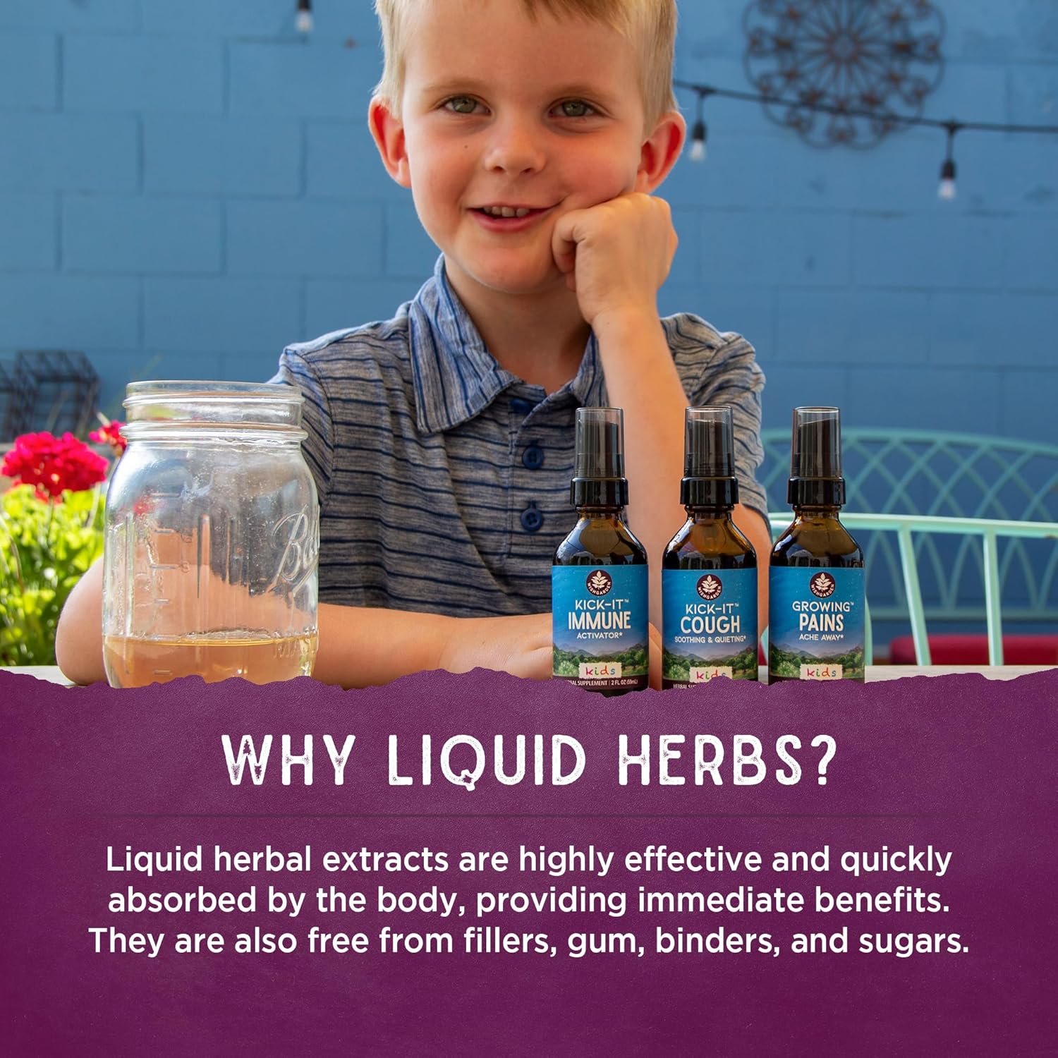 WishGarden Herbs Daily Immune for Kids – Fórmula diaria de apoyo inmunológico para niños, defensa inmunológica a base de hierbas y refuerzo del