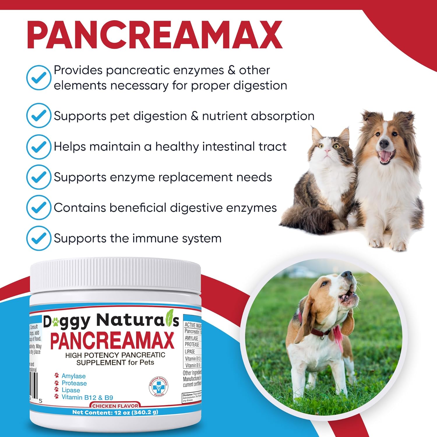 PancreaMax – 10 suplementos de enzimas digestivas pancreáticas para gatos y perros (12 onzas) en polvo (fabricado en Estados Unidos). 10 pancreatina
