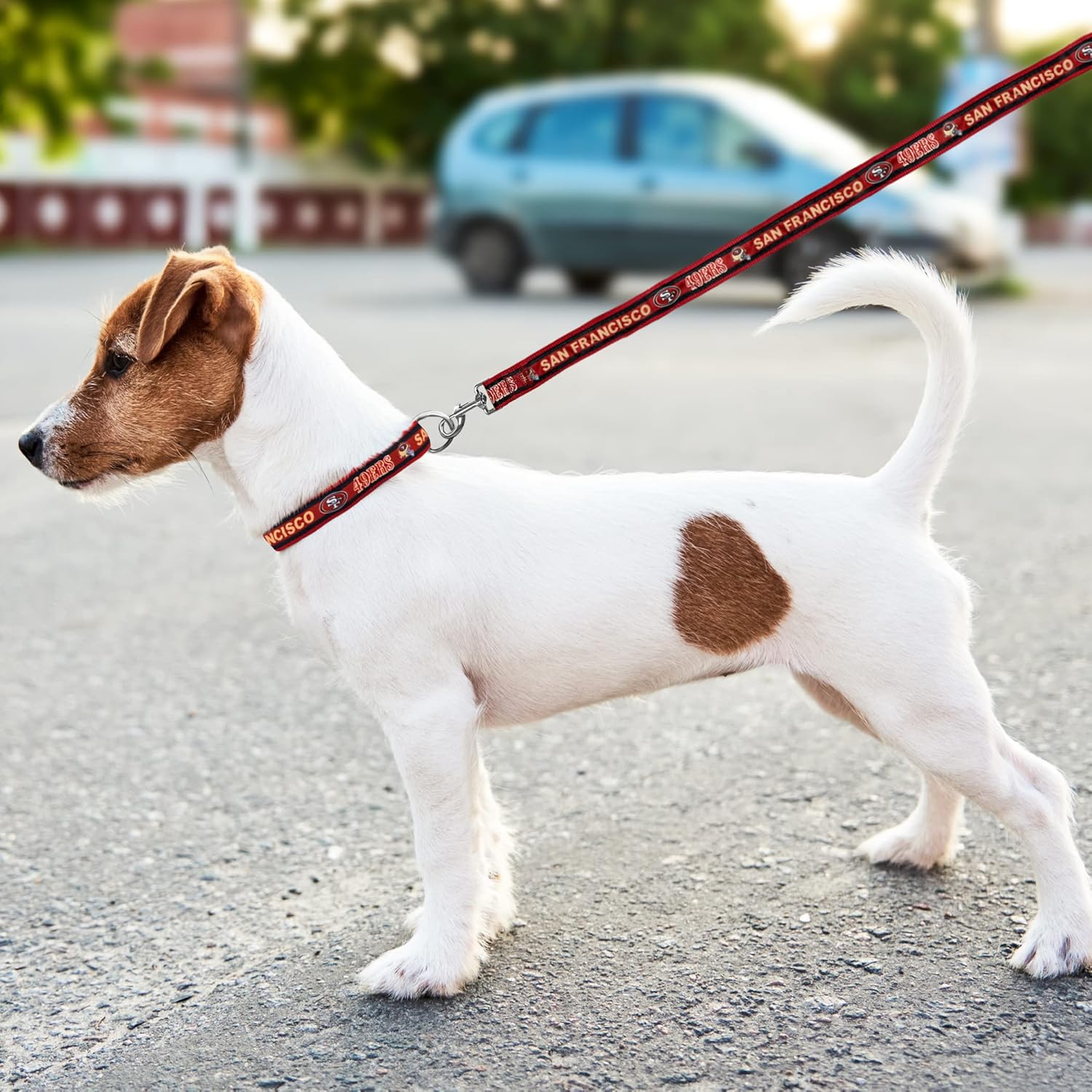 NFL Pet Strap San Francisco 49ers – Correa para perro, correa mediana del equipo de fútbol para perros y gatos. Una correa brillante y colorida para