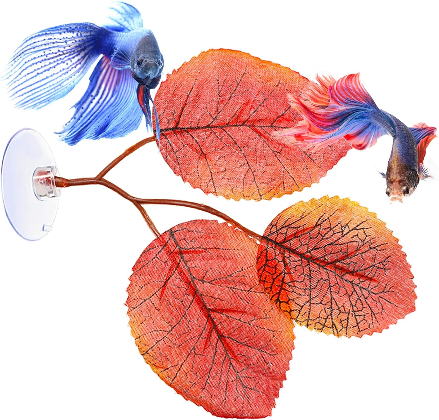 9 piezas Betta Bed Leaf Hamaca Pad Betta Fish Leaf Pad Betta Fish Hamaca Betta Fish Accesorios Decoración de tanques de plantas para lugar de