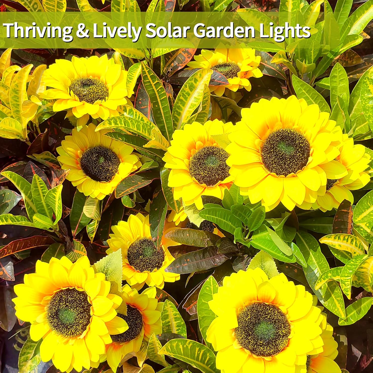 Paquete de 2 luces solares para decoración de jardín al aire libre con 6 luces LED de girasol, luces solares impermeables al aire libre para