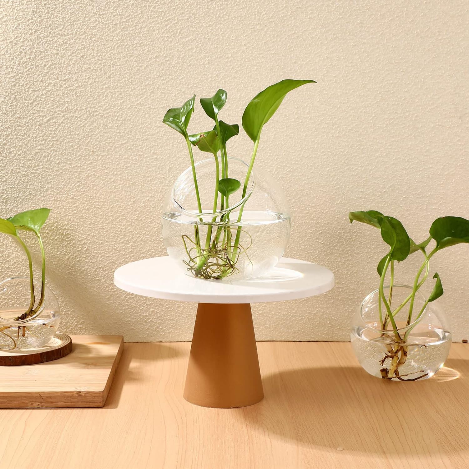 IMIKEYA Exhibición del terrario de la planta 3 unids de vidrio de terrario contenedores suculenta planta de aire plantador jarrones de vidrio