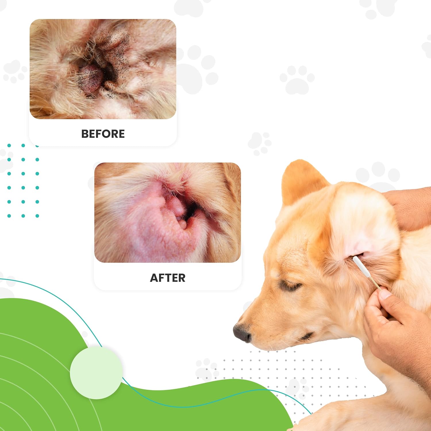 We Love Doodles Kit de solución de limpieza de oídos para perros  Previene infecciones  Orgánico  Fabricado en Estados Unidos  Gotas para los oídos