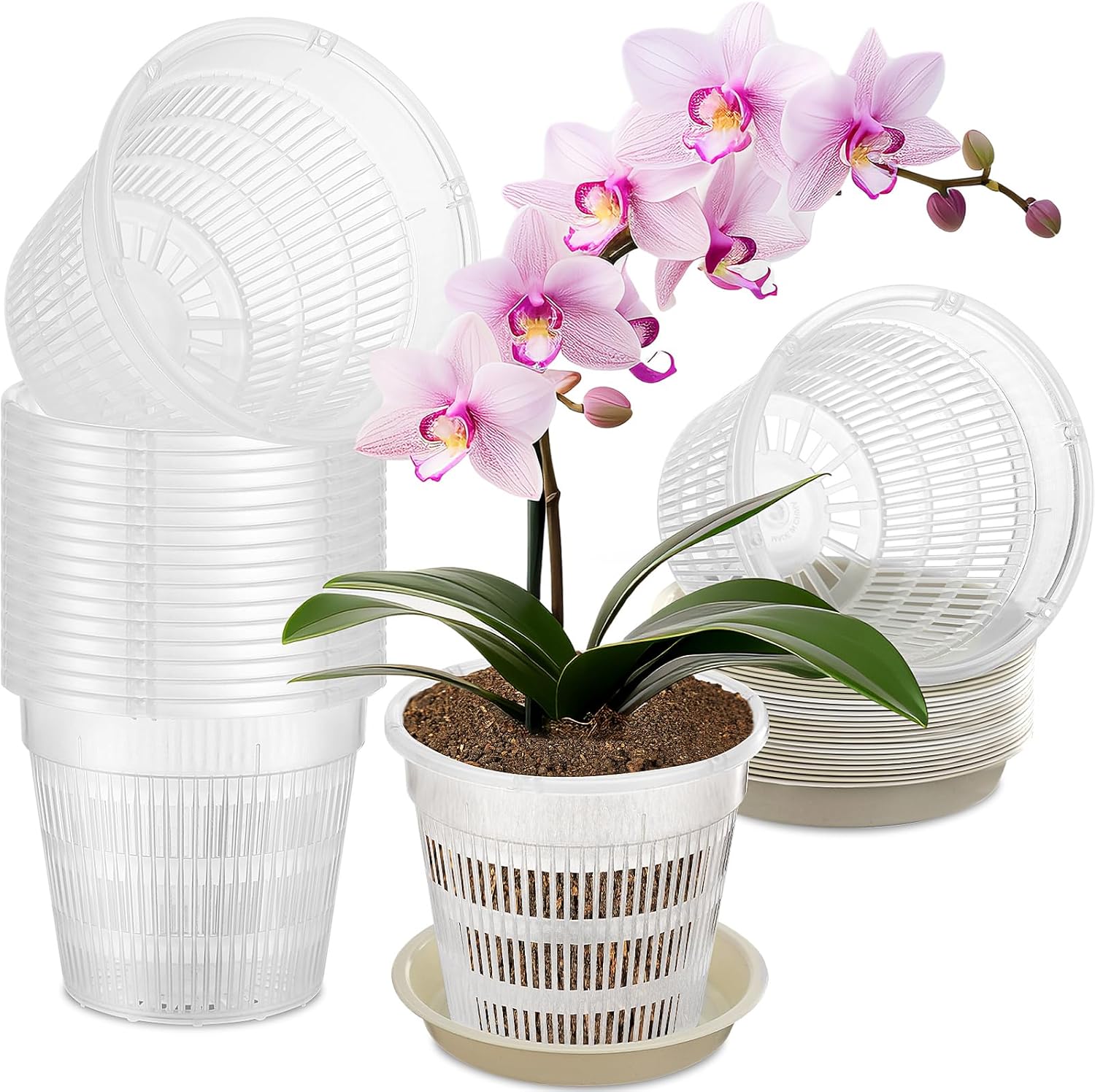 Zhehao 30 macetas de orquídeas con agujeros y platillos, macetas de plástico transparente para trasplantar, maceta de plástico transpirable para