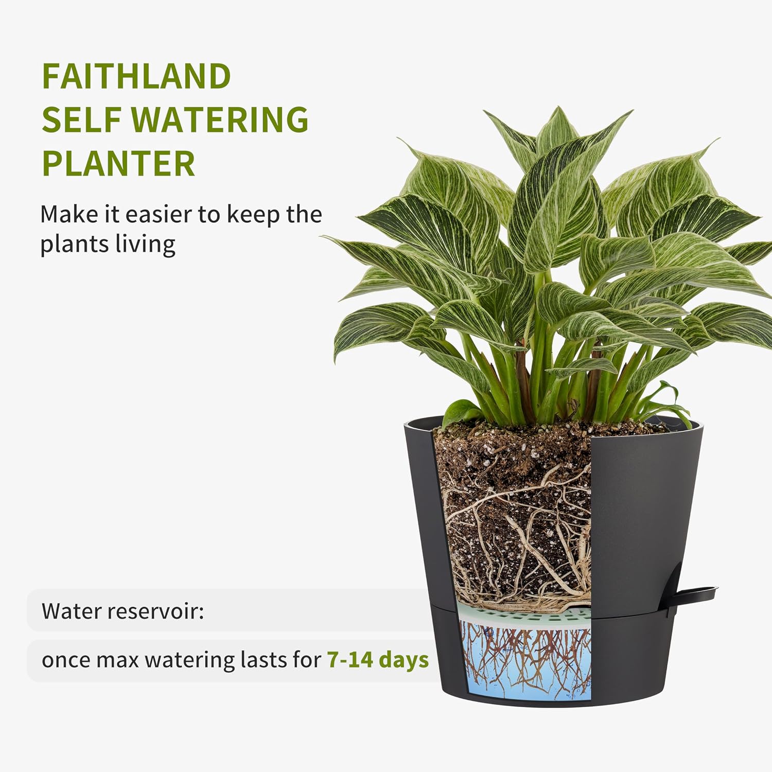 FaithLand Paquete de 2 macetas de 8 pulgadas para plantas de interior y exterior, macetas de riego automático con depósito profundo, color negro con