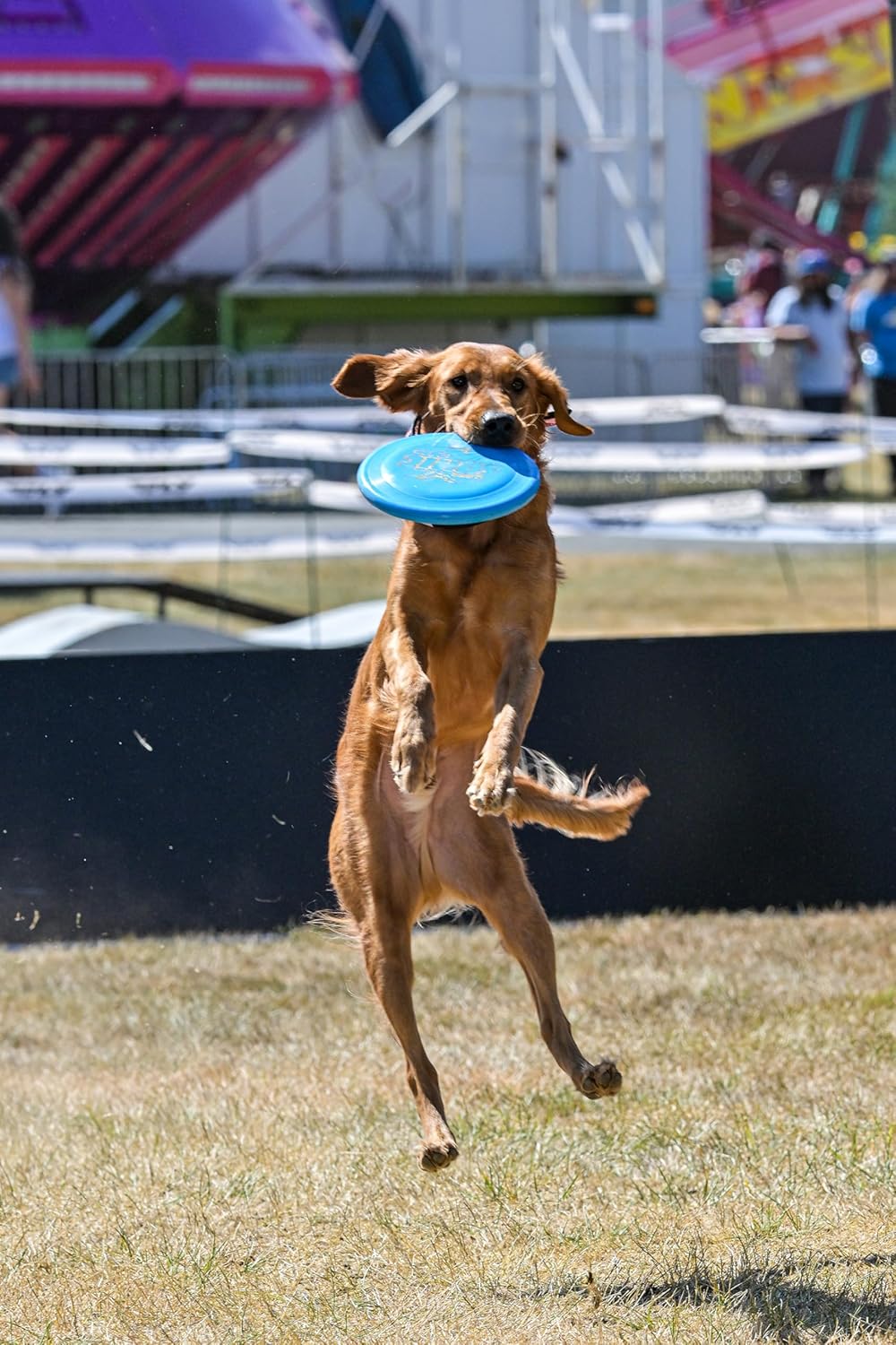 Hero Disc USA Xtra 235 Freestyle – Frisbee para perro, juguete para perros al aire libre y frisbee para mascotas, disco volador para perros de