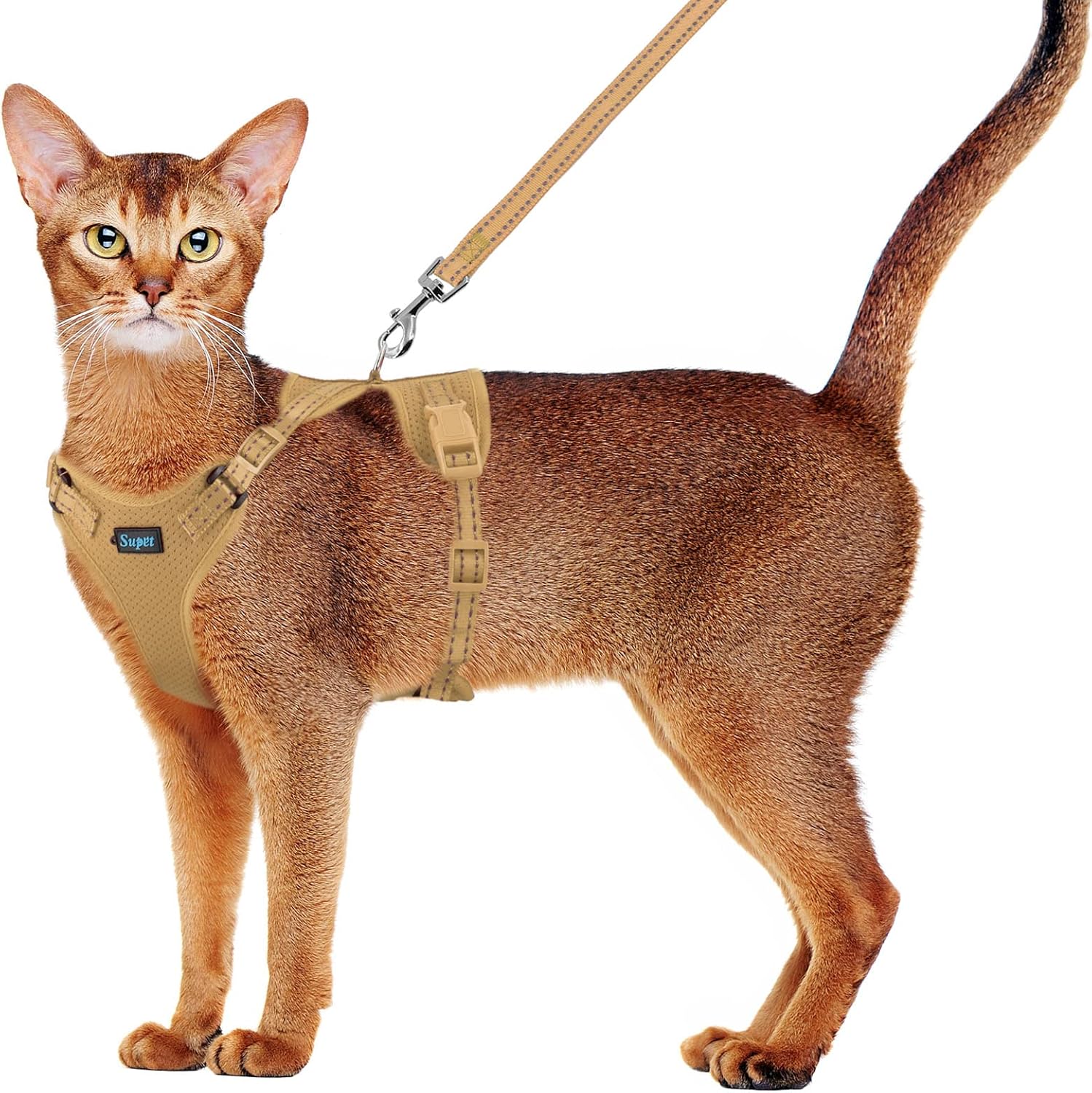 Supet Juego de arnés y correa para gatos pequeños a grandes, arnés ajustable para gatos con ribete reflectante, correa universal para gatos y