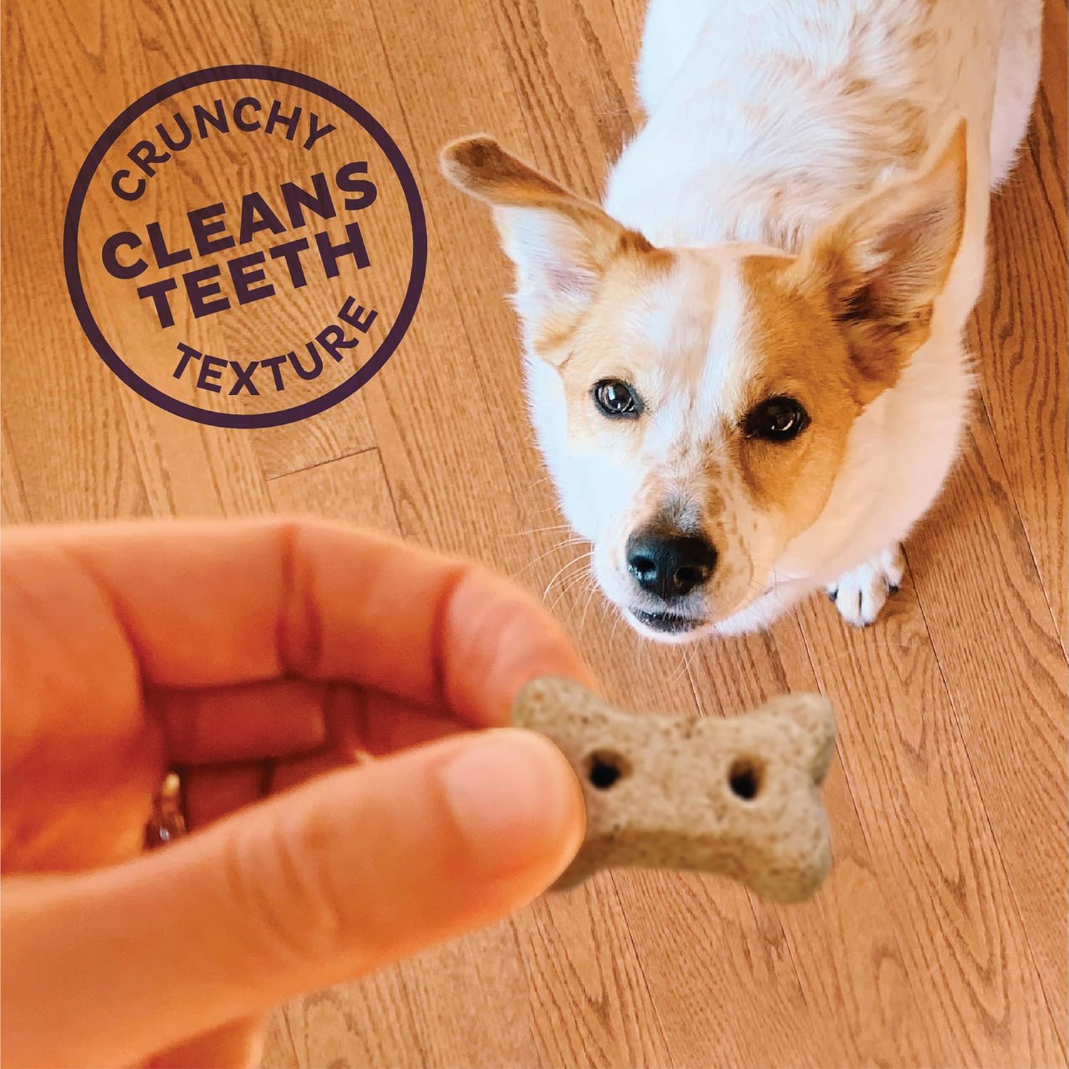 Clásicos premios naturales de perro Old Mother Hubbard Crunchy