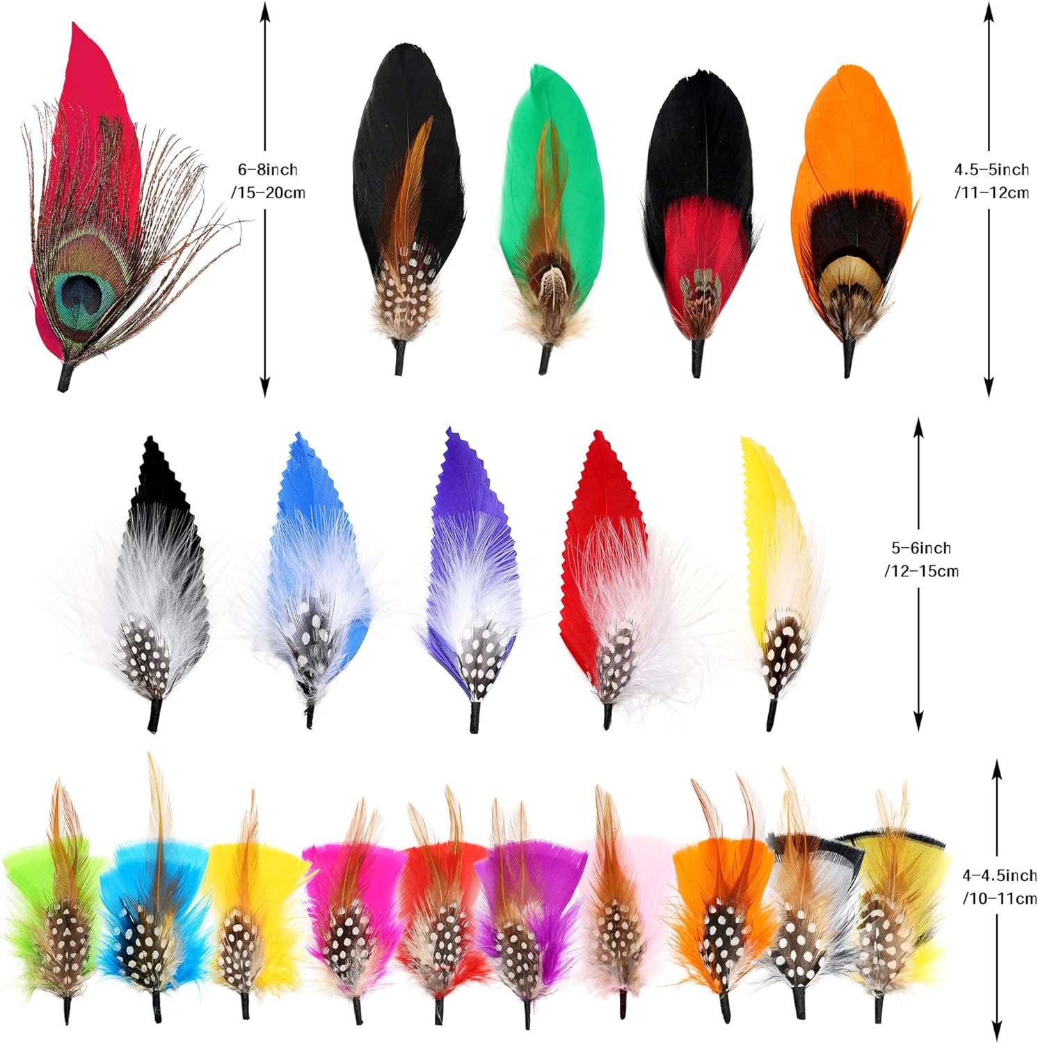 Plumas de sombrero 20 estilos surtidos de plumas para sombreros Fedora, accesorios coloridos de plumas reales para hombres y mujeres