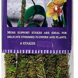 SuperMoss (22050) Estacas de musgo preservadas, verde fresco, 18 pulgadas (paquete de 6) SuperMoss (22050) Estacas de musgo preservadas, verde fresco, 18 pulgadas (paquete de 6)