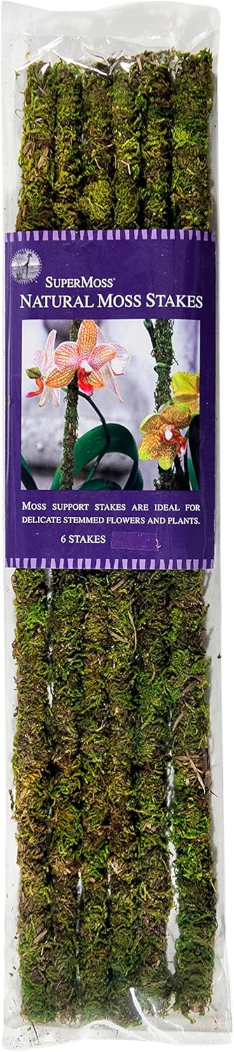 SuperMoss (22050) Estacas de musgo preservadas, verde fresco, 18 pulgadas (paquete de 6)